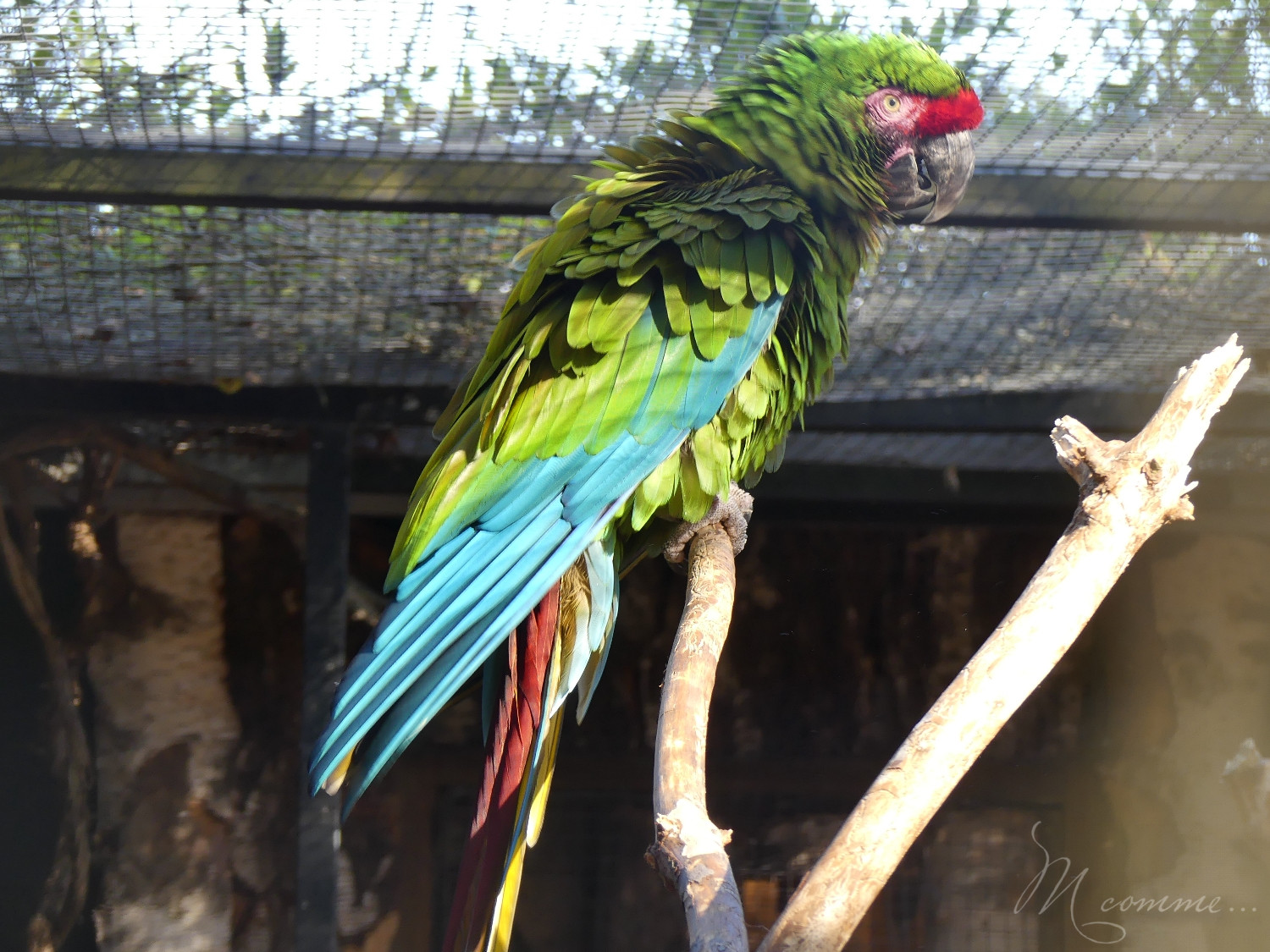 chasse aux œufs parc des oiseaux