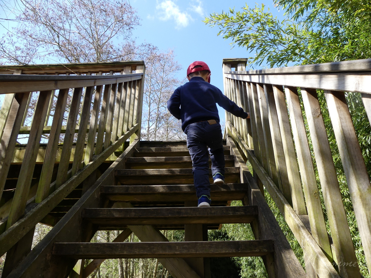 chasse aux œufs parc des oiseaux