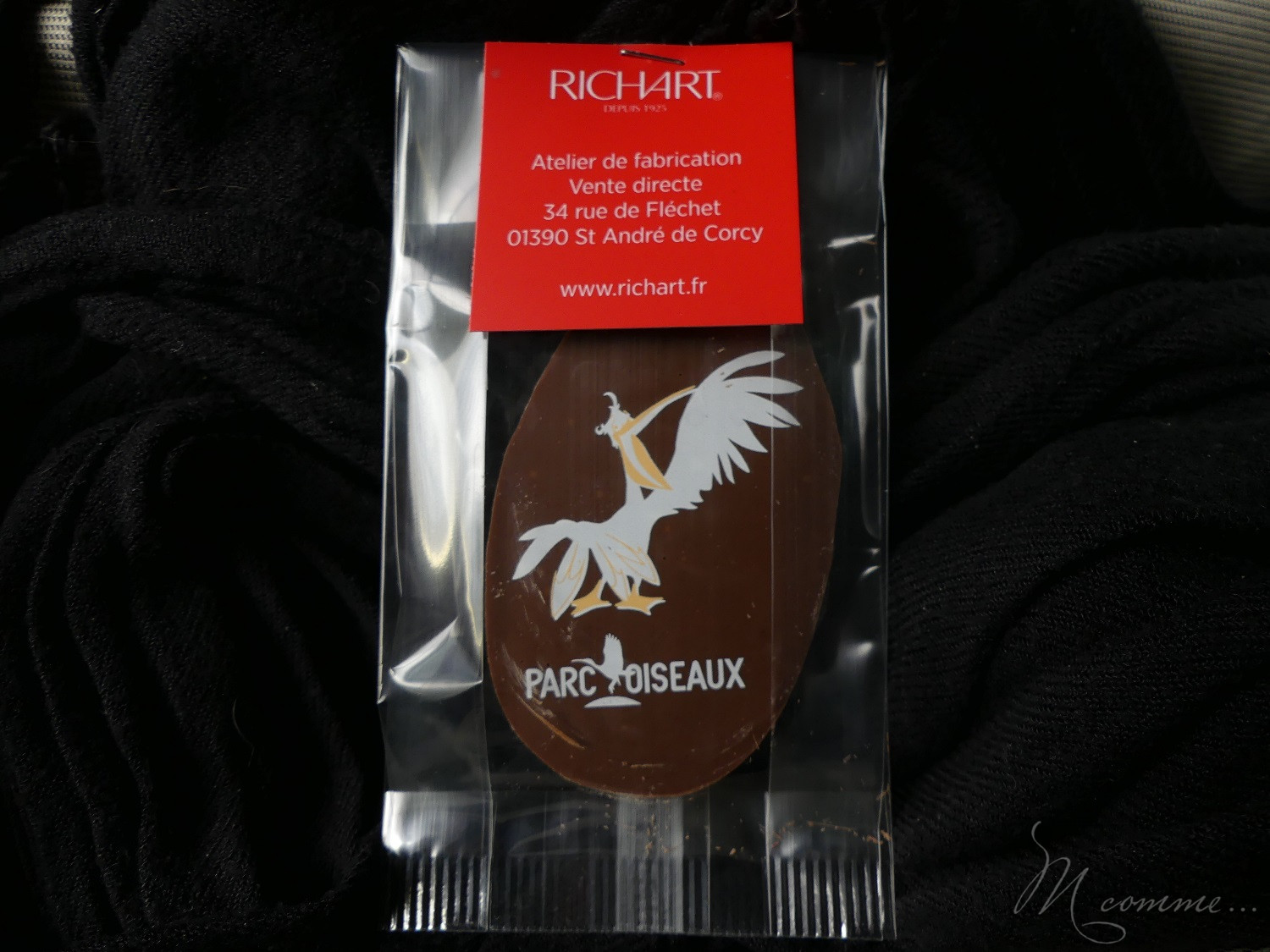 chasse aux œufs parc des oiseaux