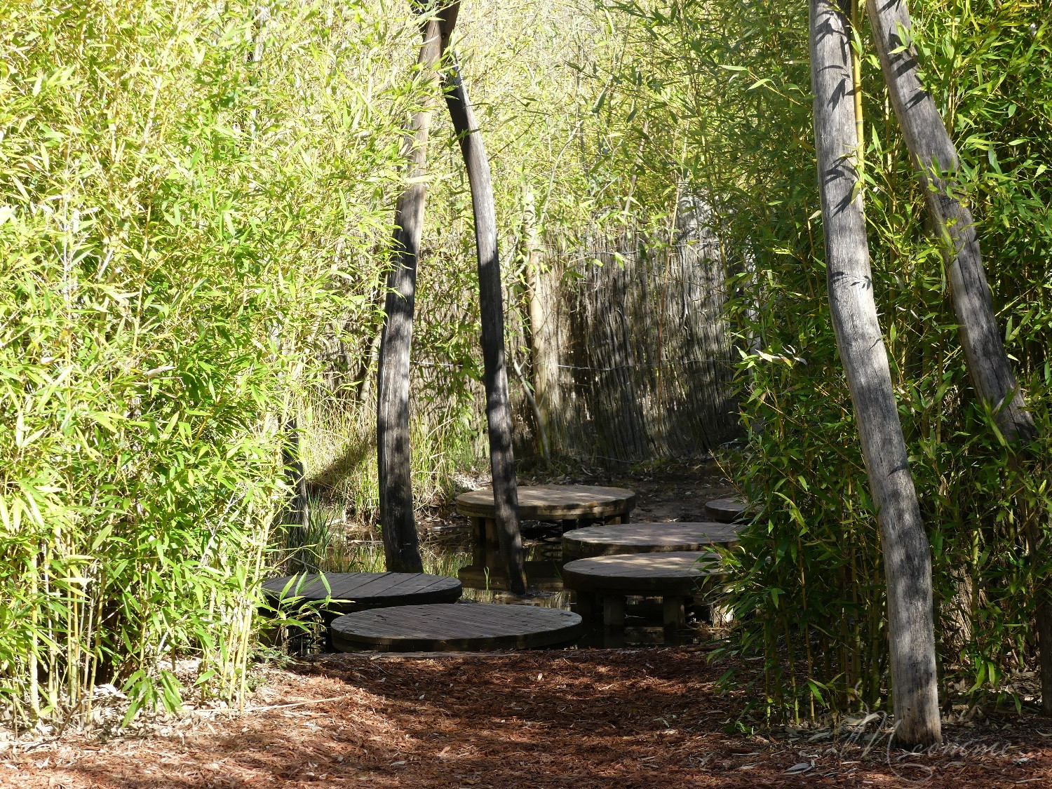 chasse aux œufs parc des oiseaux