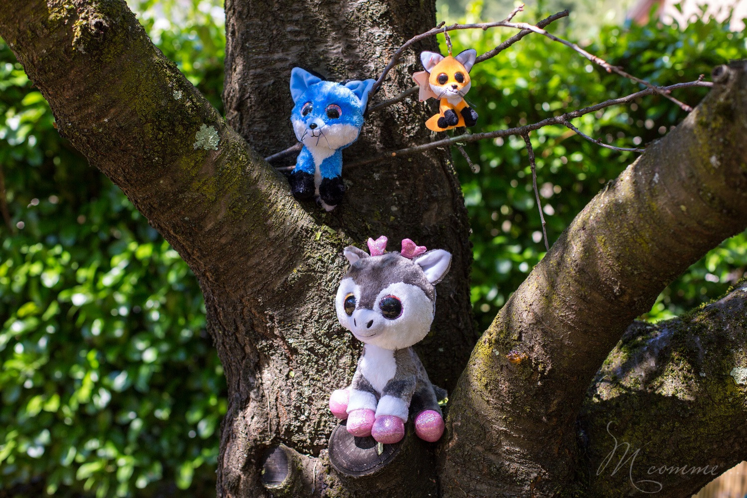 peluche Lumo stars