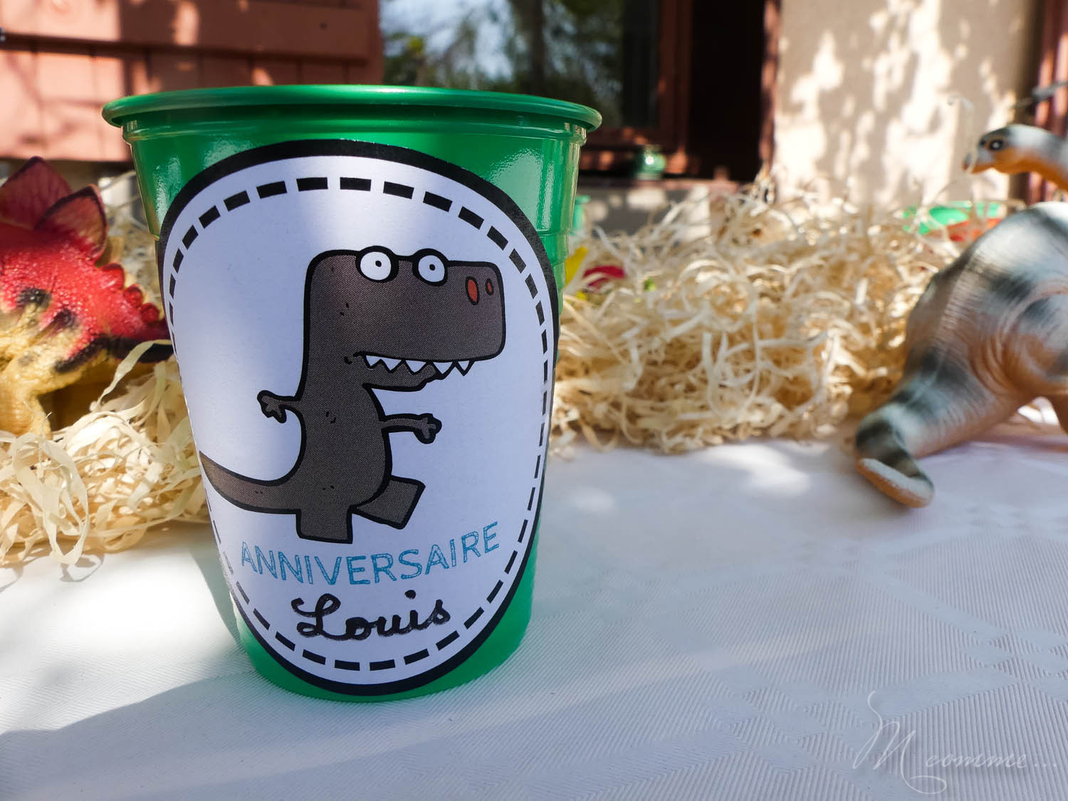 anniversaire dinosaure