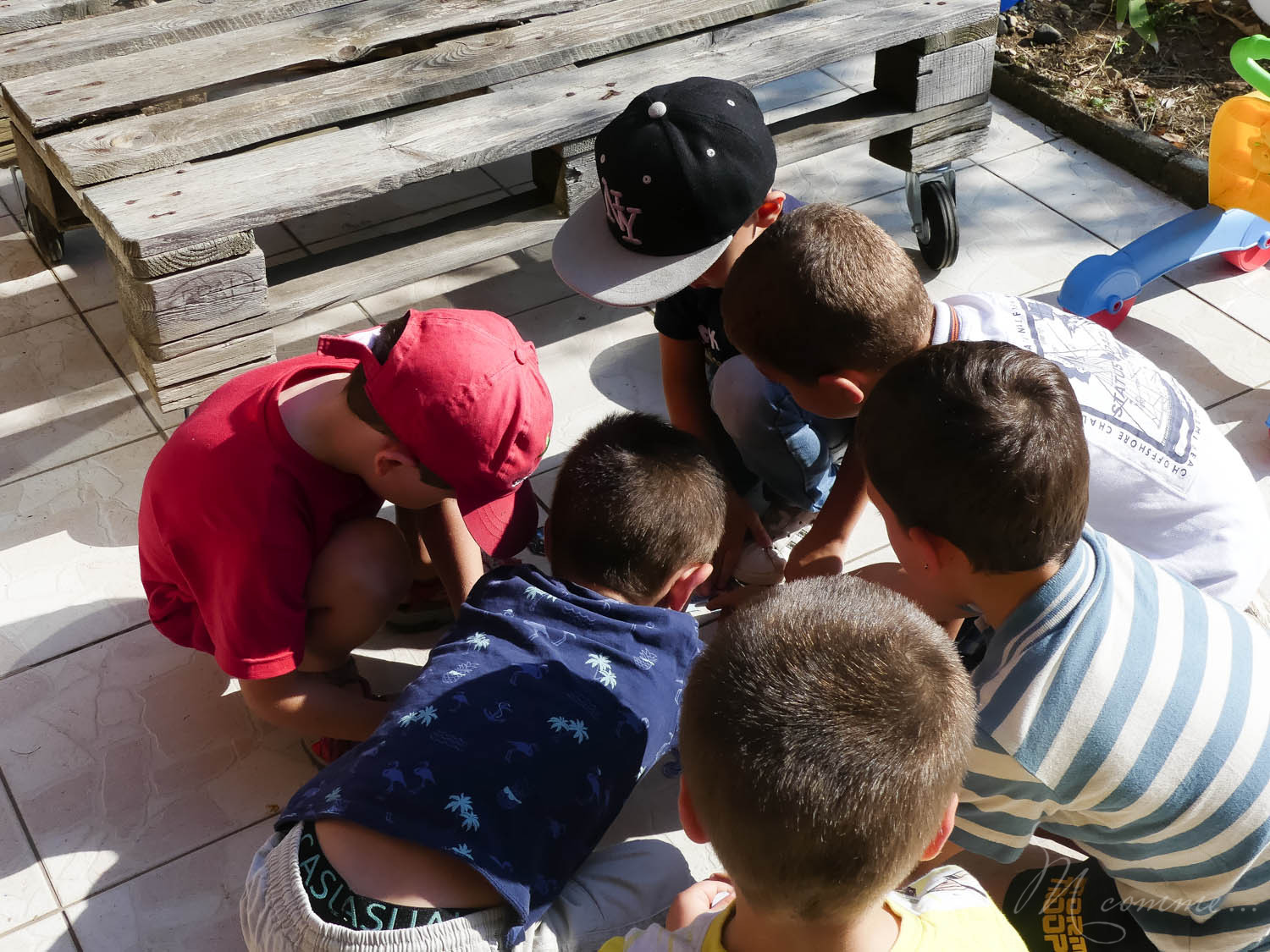 anniversaire dinosaure