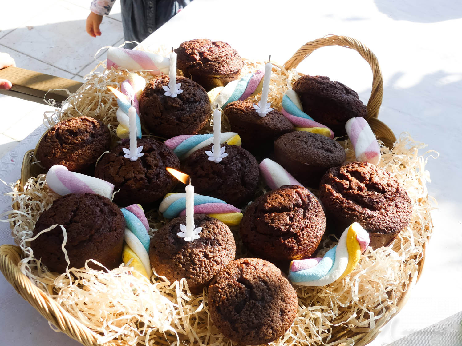 anniversaire dinosaure