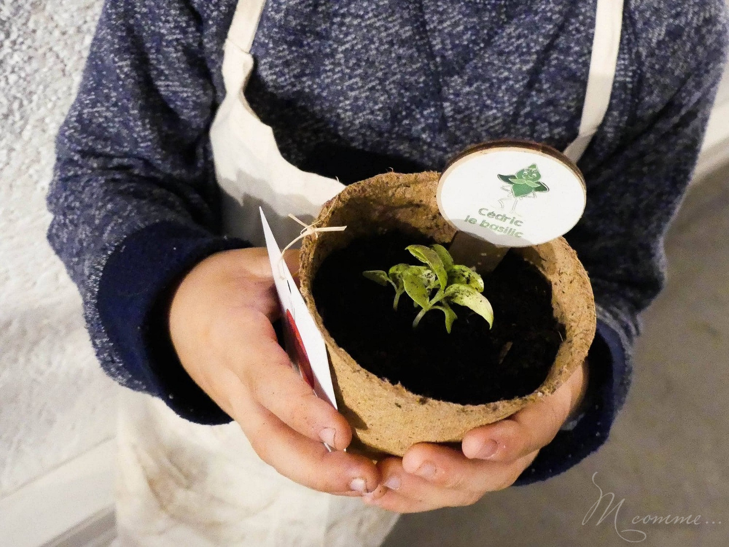 Faire un potager avec ses enfants pour les initier au plaisir de la terre, leur apprendre la patience et avoir la joie de découvrir ce qui sort de terre. #potager #enfants #bio #local #terre #apprentissage #culture potager enfant