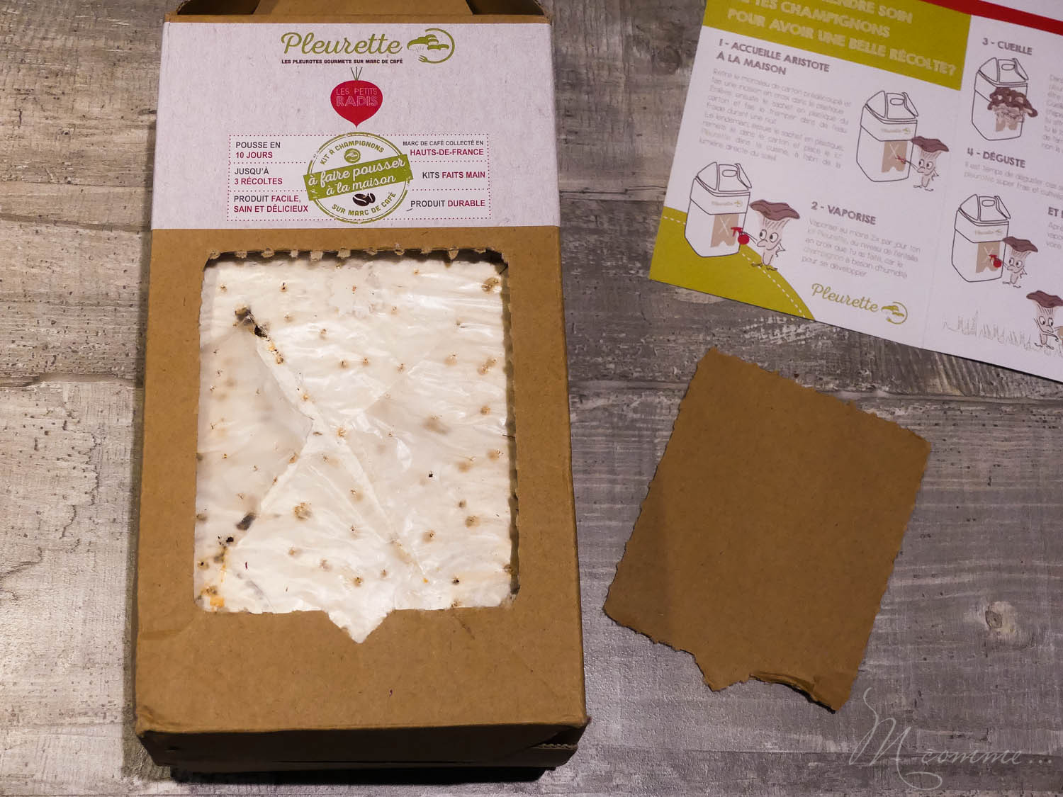 Faire un potager avec ses enfants pour les initier au plaisir de la terre, leur apprendre la patience et avoir la joie de découvrir ce qui sort de terre. #potager #enfants #bio #local #terre #apprentissage #culture potager enfant