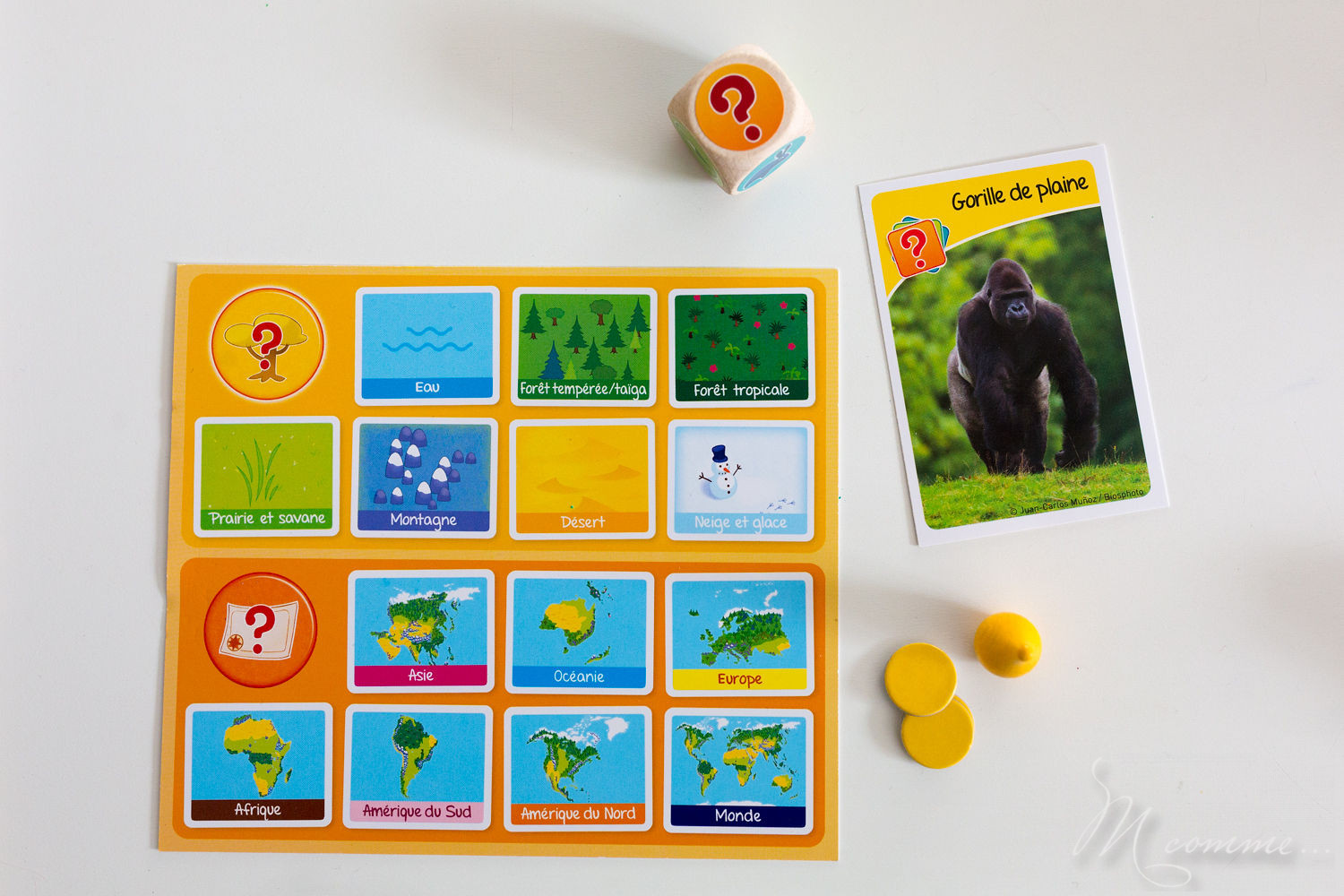 Bioviva junior, élu étoile du jouet 2018, fabriqué en France et éco-conçu, pour les 5 ans et plus, permet à travers 3 épreuves de découvrir les différences espèces animales et les situer dans leur milieu naturel avec, en prime, de la rigolade ! #bioviva #jeu #apprentissage #nature #animaux Bioviva junior