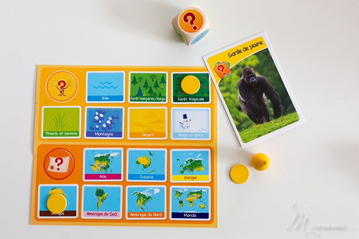 Bioviva junior, élu étoile du jouet 2018, fabriqué en France et éco-conçu, pour les 5 ans et plus, permet à travers 3 épreuves de découvrir les différences espèces animales et les situer dans leur milieu naturel avec, en prime, de la rigolade ! #bioviva #jeu #apprentissage #nature #animaux Bioviva junior