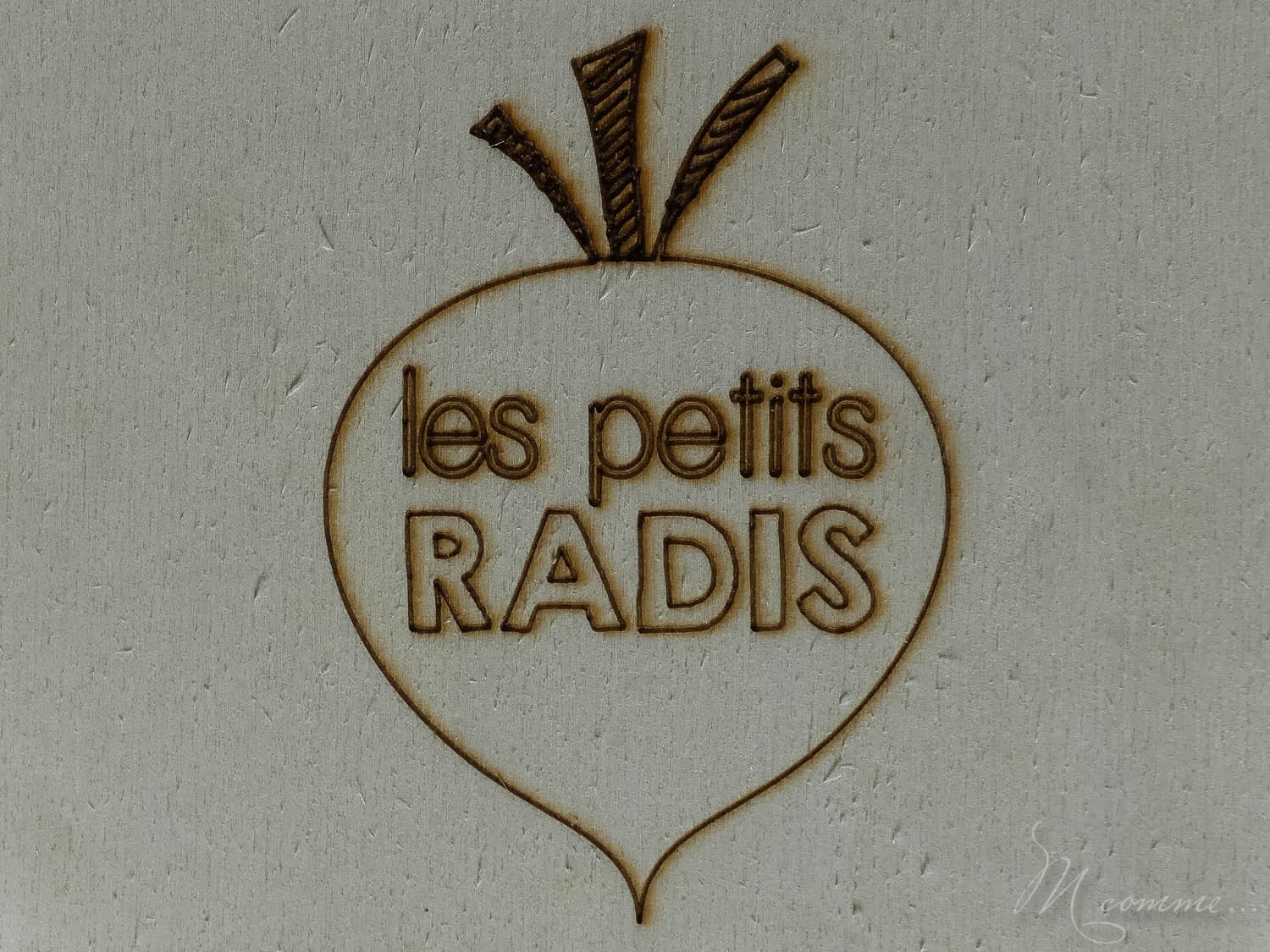 Faire un potager avec ses enfants pour les initier au plaisir de la terre, leur apprendre la patience et avoir la joie de découvrir ce qui sort de terre. #potager #enfants #bio #local #terre #apprentissage #culture potager enfant