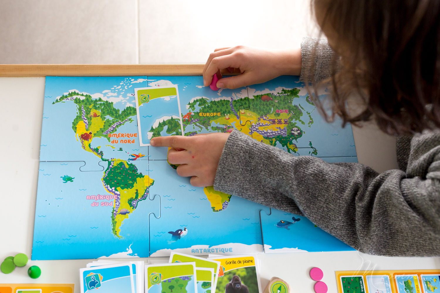 Bioviva junior, élu étoile du jouet 2018, fabriqué en France et éco-conçu, pour les 5 ans et plus, permet à travers 3 épreuves de découvrir les différences espèces animales et les situer dans leur milieu naturel avec, en prime, de la rigolade ! #bioviva #jeu #apprentissage #nature #animaux Bioviva junior