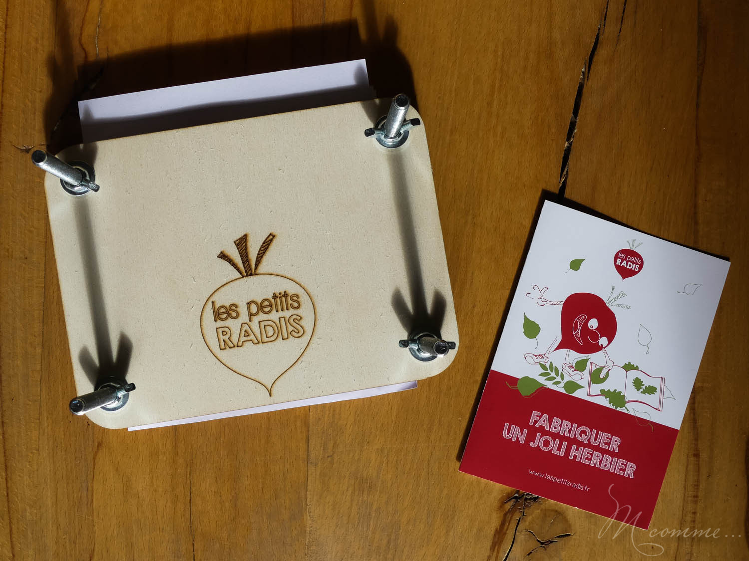 Faire un potager avec ses enfants pour les initier au plaisir de la terre, leur apprendre la patience et avoir la joie de découvrir ce qui sort de terre. #potager #enfants #bio #local #terre #apprentissage #culture potager enfant