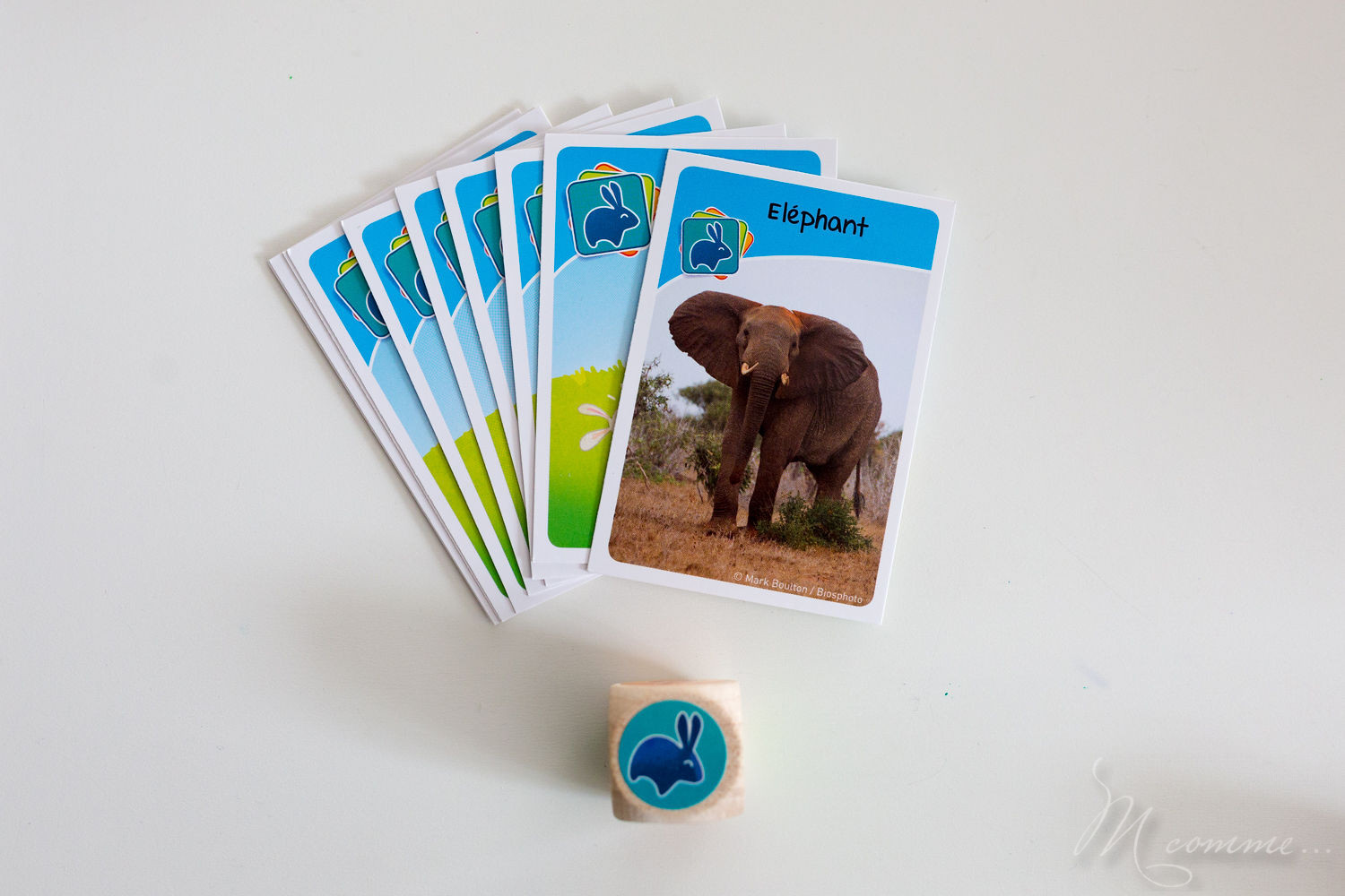 Bioviva junior, élu étoile du jouet 2018, fabriqué en France et éco-conçu, pour les 5 ans et plus, permet à travers 3 épreuves de découvrir les différences espèces animales et les situer dans leur milieu naturel avec, en prime, de la rigolade ! #bioviva #jeu #apprentissage #nature #animaux Bioviva junior