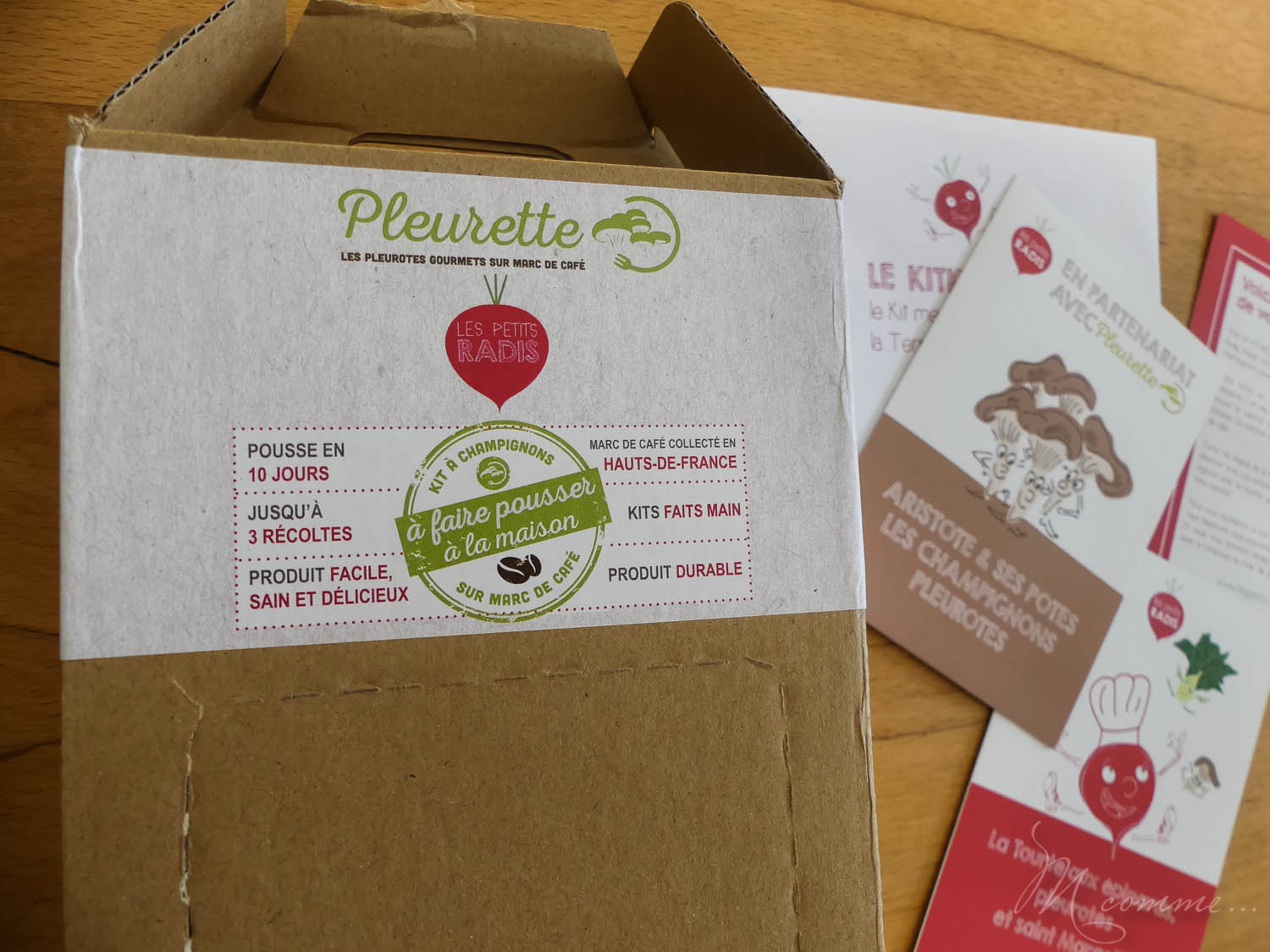 Faire un potager avec ses enfants pour les initier au plaisir de la terre, leur apprendre la patience et avoir la joie de découvrir ce qui sort de terre. #potager #enfants #bio #local #terre #apprentissage #culture potager enfant