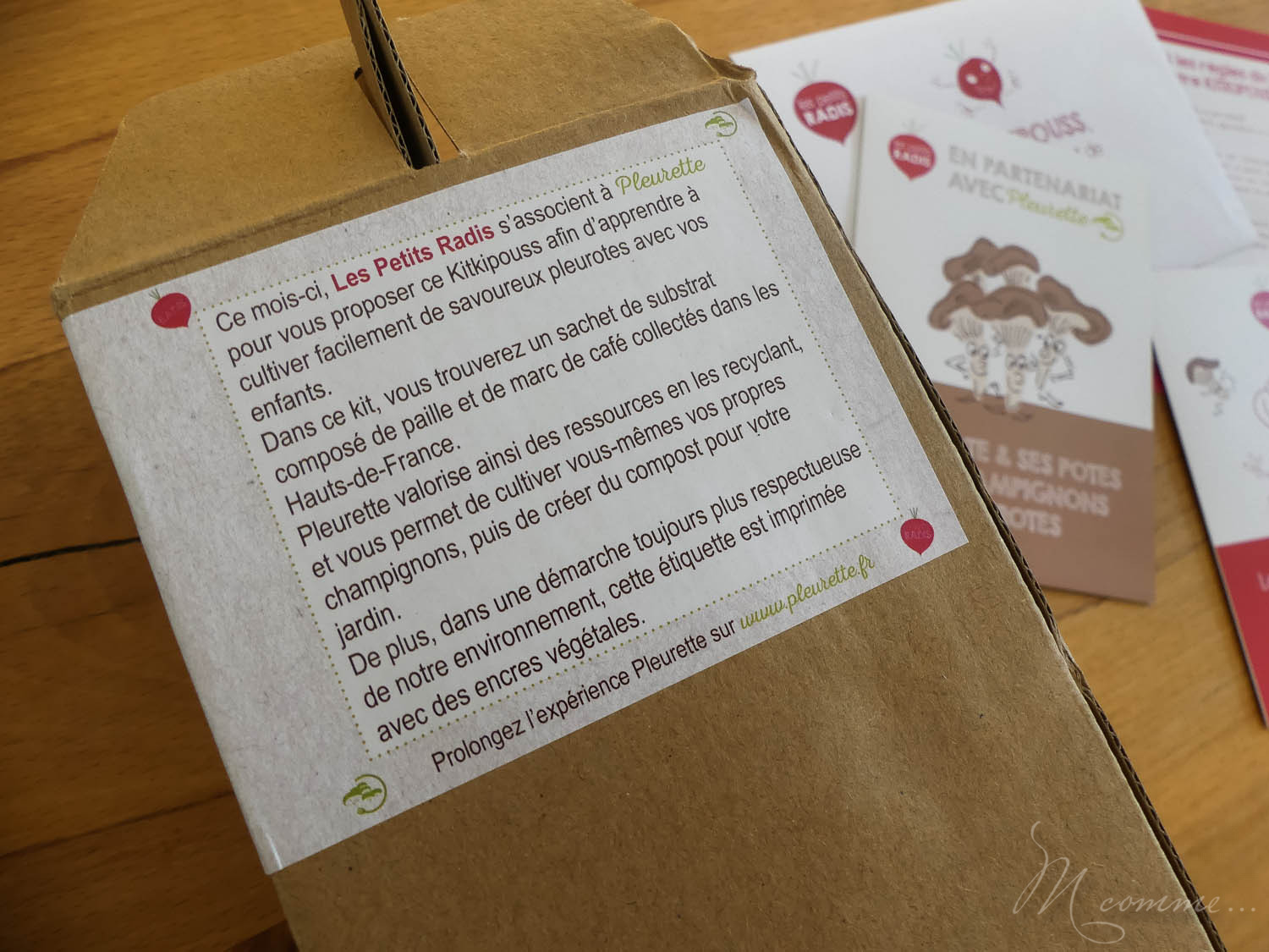 Faire un potager avec ses enfants pour les initier au plaisir de la terre, leur apprendre la patience et avoir la joie de découvrir ce qui sort de terre. #potager #enfants #bio #local #terre #apprentissage #culture potager enfant