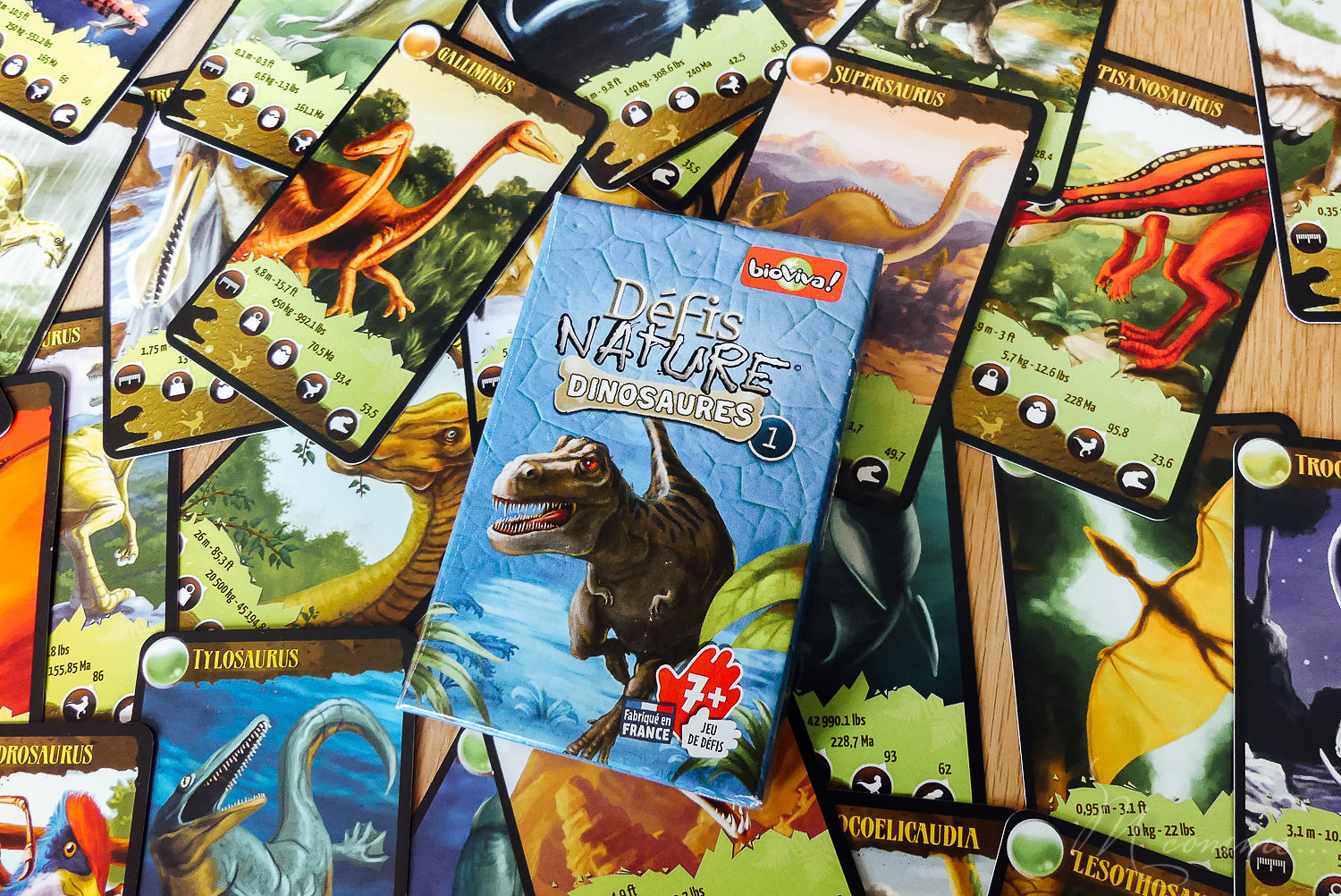 Défis nature de Bioviva est une collection de jeux de cartes qui s’apparente à un jeu de bataille. Educatif, ce jeu sensibilise les enfants aux animaux et à la beauté du monde en s’amusant. Découvrez les rois du camouflage, les dinosaures et l’espace. #curiosité #bioviva #jeu #apprentissage #nature #animaux #decouverte #sensibilisation #jeudesociete #jeudesocieteenfants #jeudecartes #jeudecartesenfants jeu défis nature dinosaures bioviva