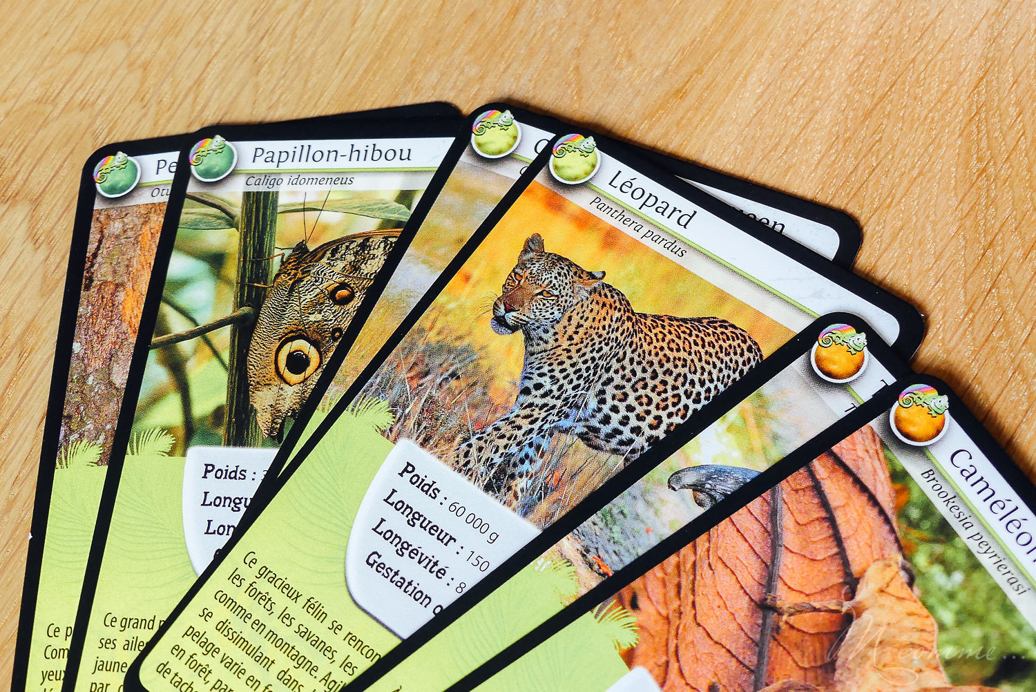 Défis nature de Bioviva est une collection de jeux de cartes qui s’apparente à un jeu de bataille. Educatif, ce jeu sensibilise les enfants aux animaux et à la beauté du monde en s’amusant. Découvrez les rois du camouflage, les dinosaures et l’espace. #curiosité #bioviva #jeu #apprentissage #nature #animaux #decouverte #sensibilisation #jeudesociete #jeudesocieteenfants #jeudecartes #jeudecartesenfants jeu défis nature les rois du camouflage bioviva
