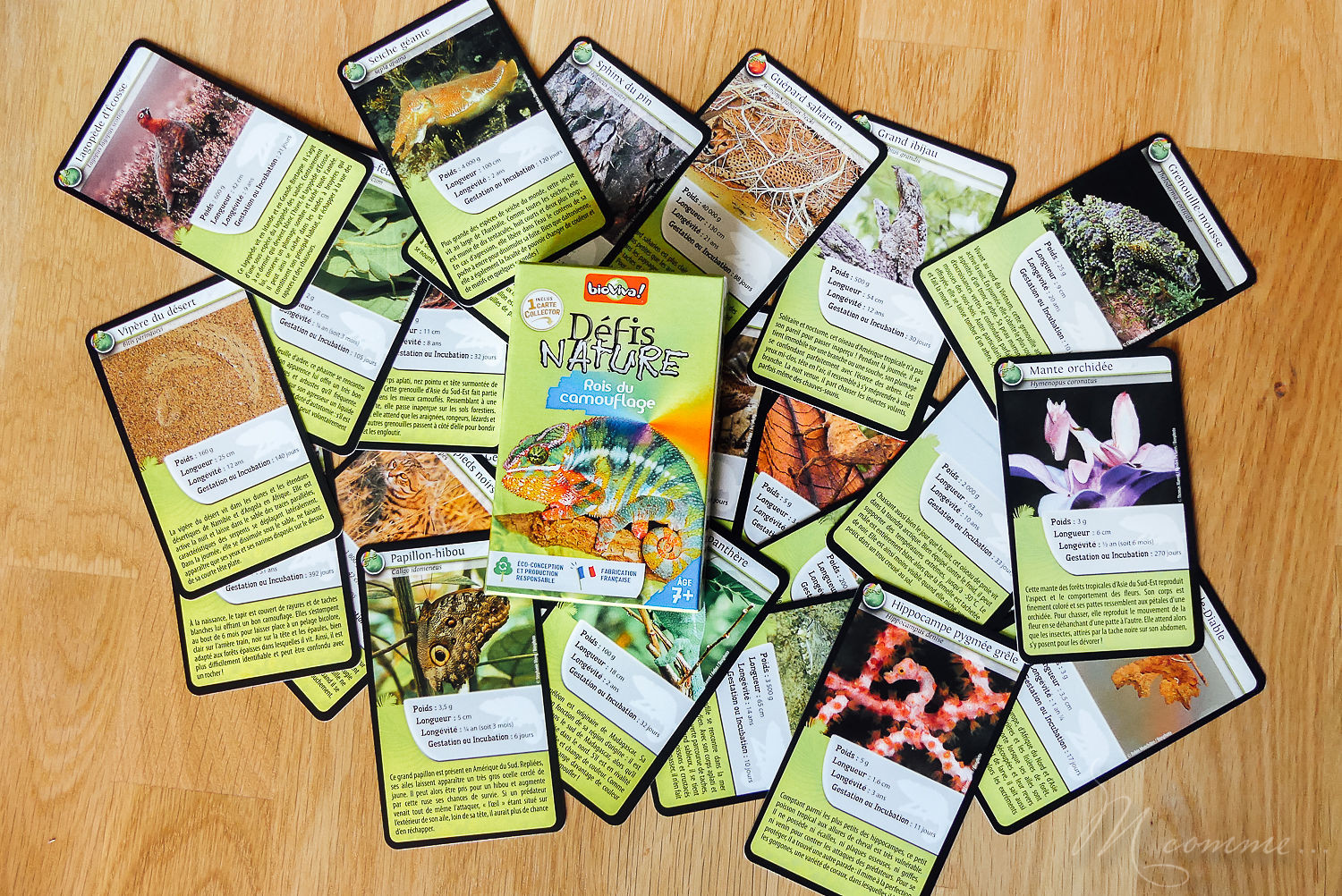 Défis nature de Bioviva est une collection de jeux de cartes qui s’apparente à un jeu de bataille. Educatif, ce jeu sensibilise les enfants aux animaux et à la beauté du monde en s’amusant. Découvrez les rois du camouflage, les dinosaures et l’espace. #curiosité #bioviva #jeu #apprentissage #nature #animaux #decouverte #sensibilisation #jeudesociete #jeudesocieteenfants #jeudecartes #jeudecartesenfants jeu défis nature les rois du camouflage bioviva
