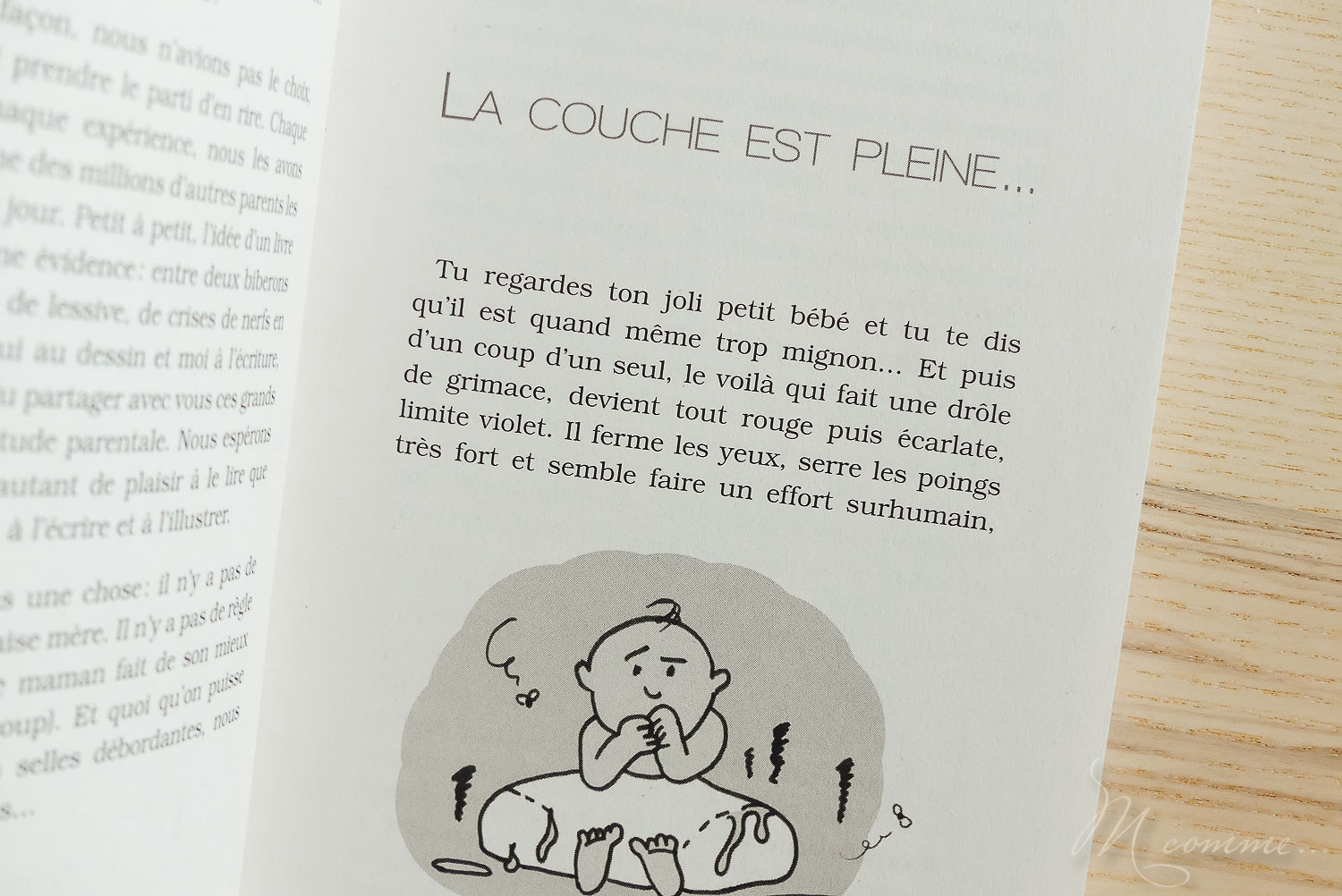 livre vie de mère