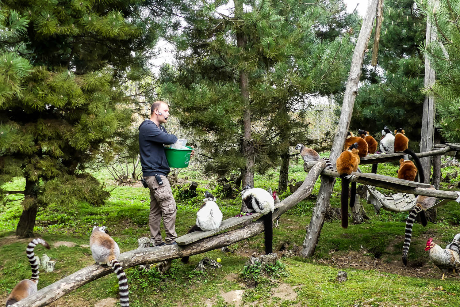nourrissage animaux zoo la boissiere du dore