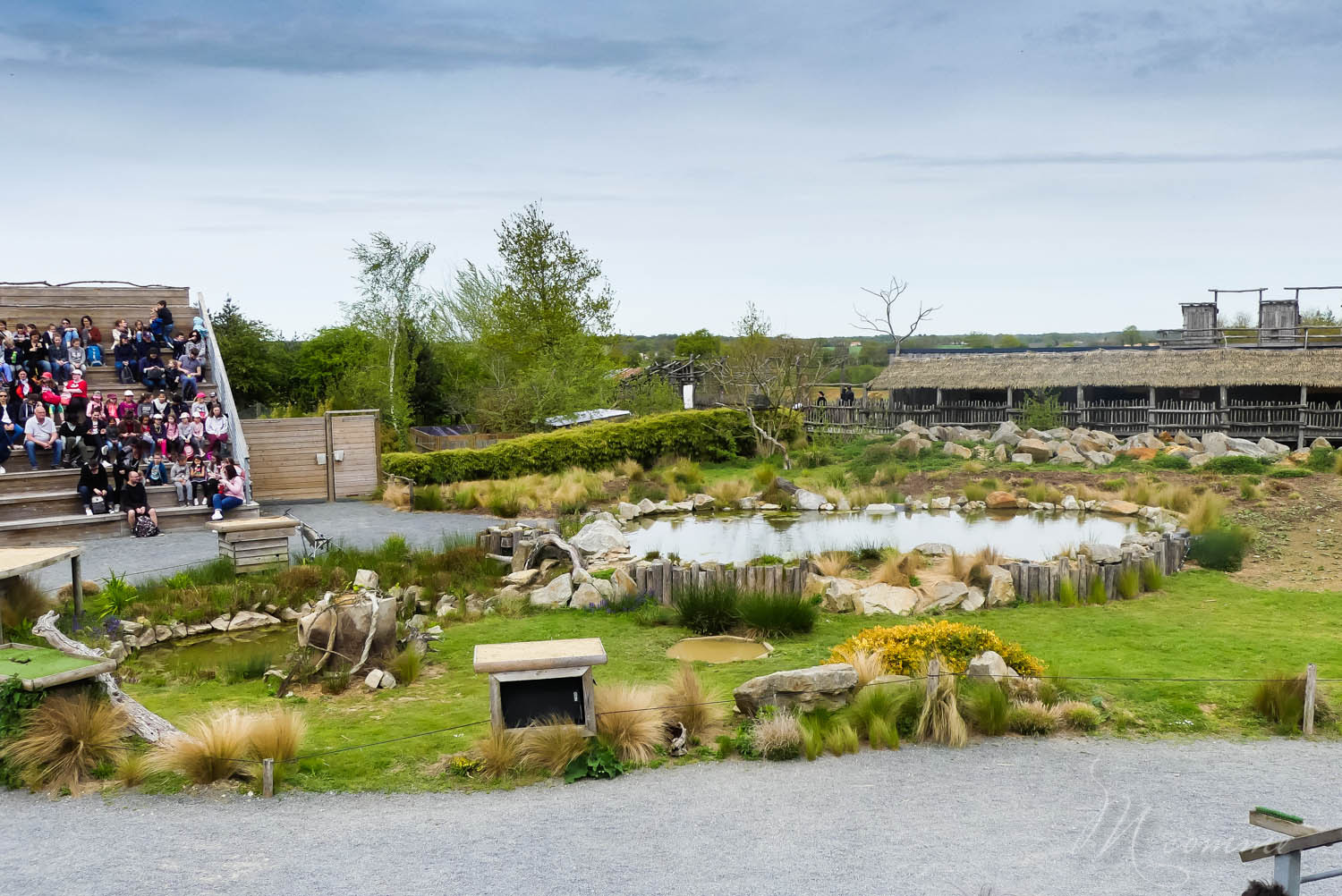 spectacle oiseaux zoo la boissiere du dore