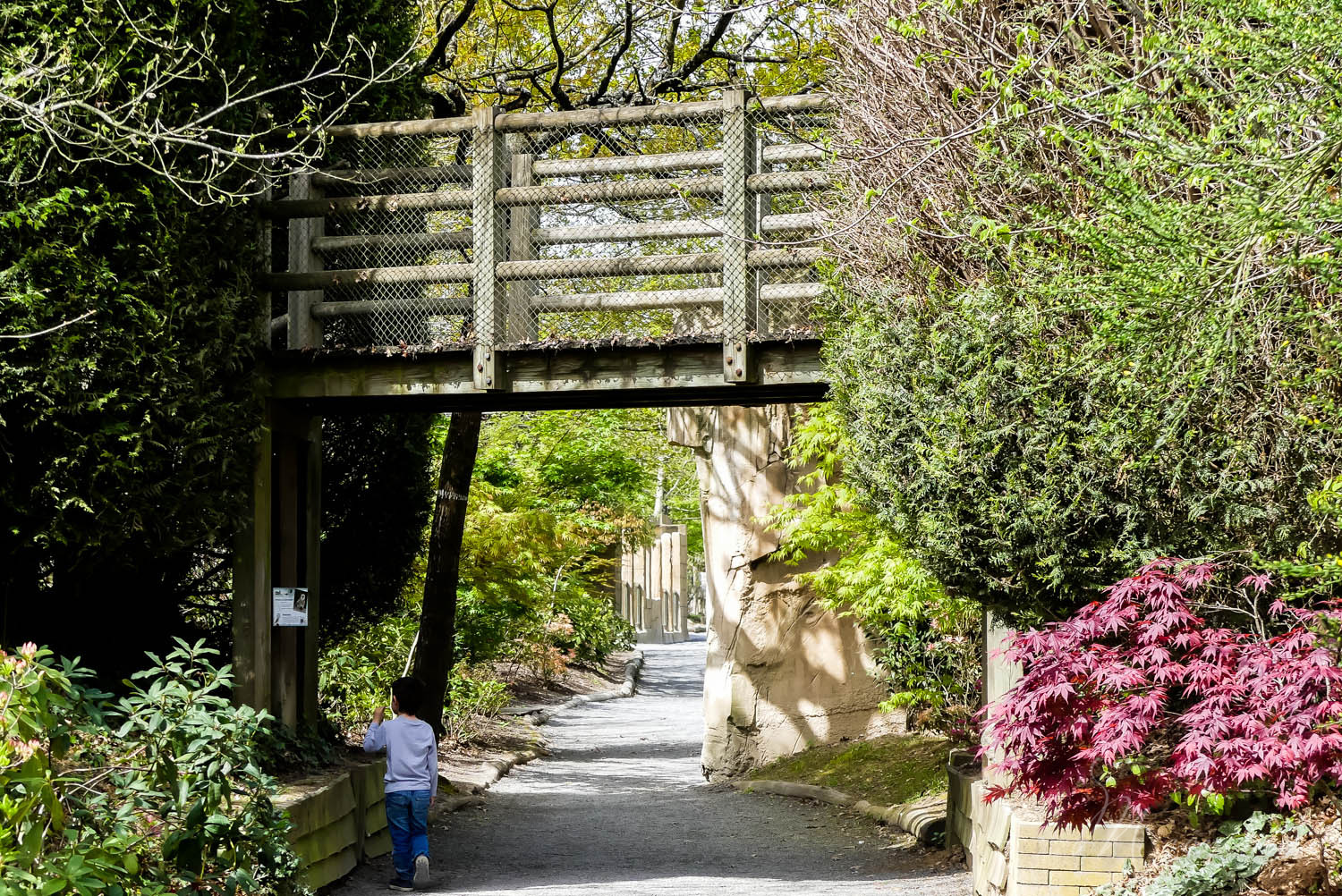 zoo la biossiere du dore nantes