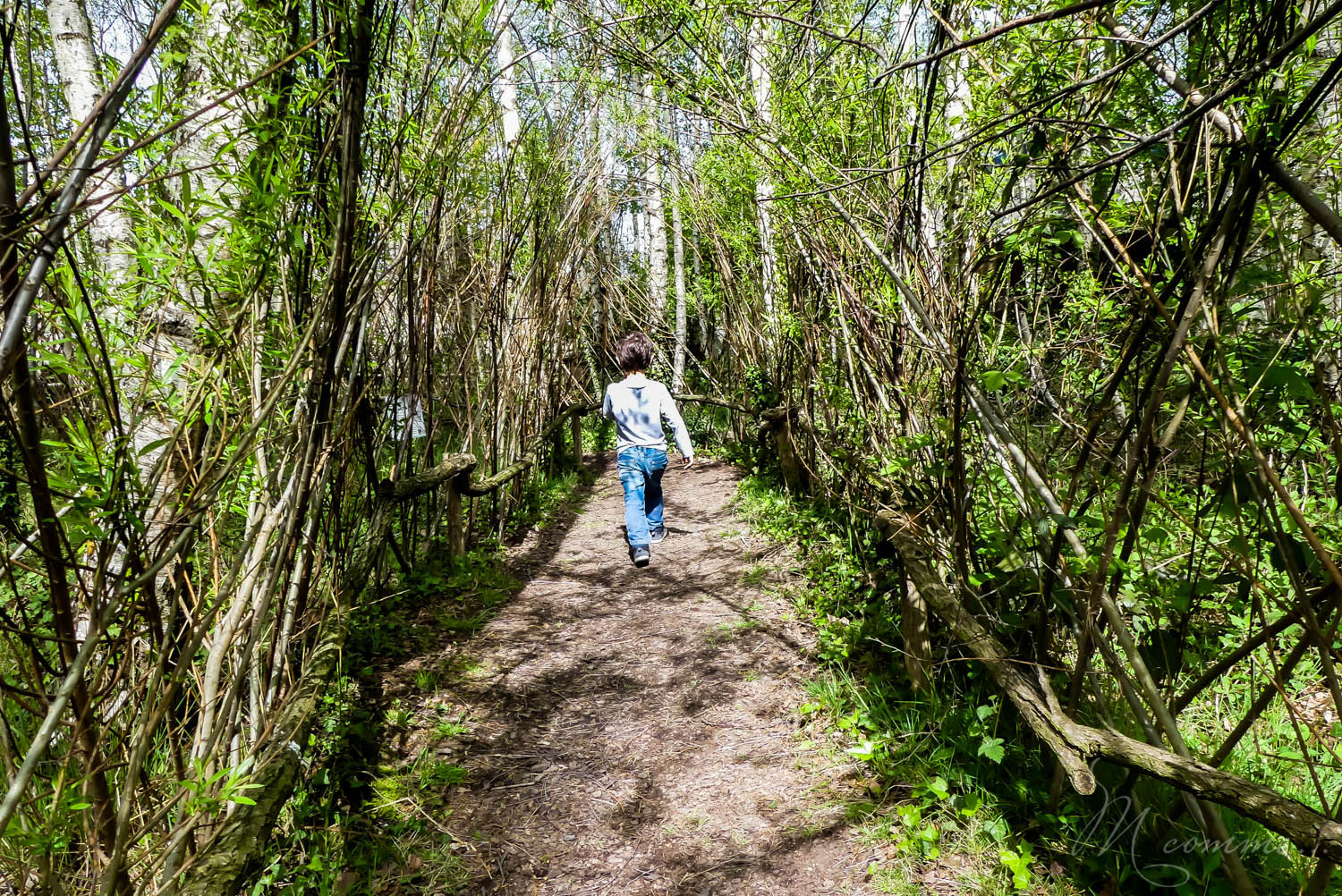 zoo la boissiere du dore nantes