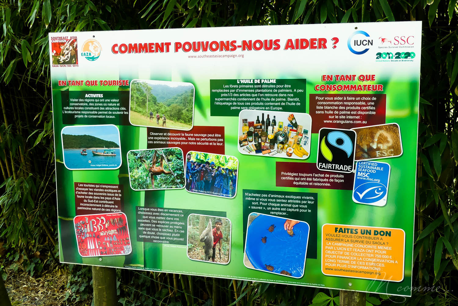 zoo la boissiere du dore