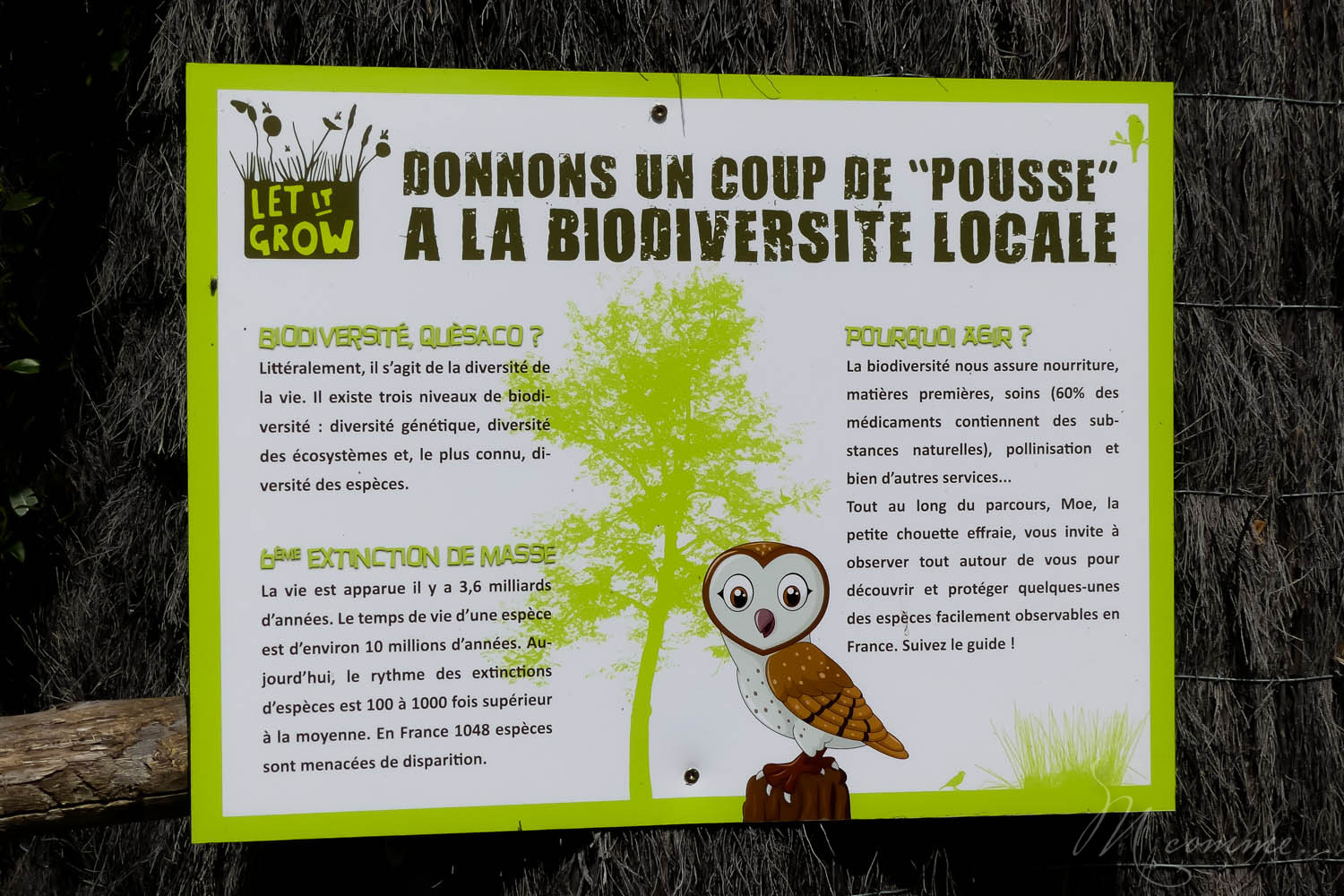 zoo la boissiere du dore