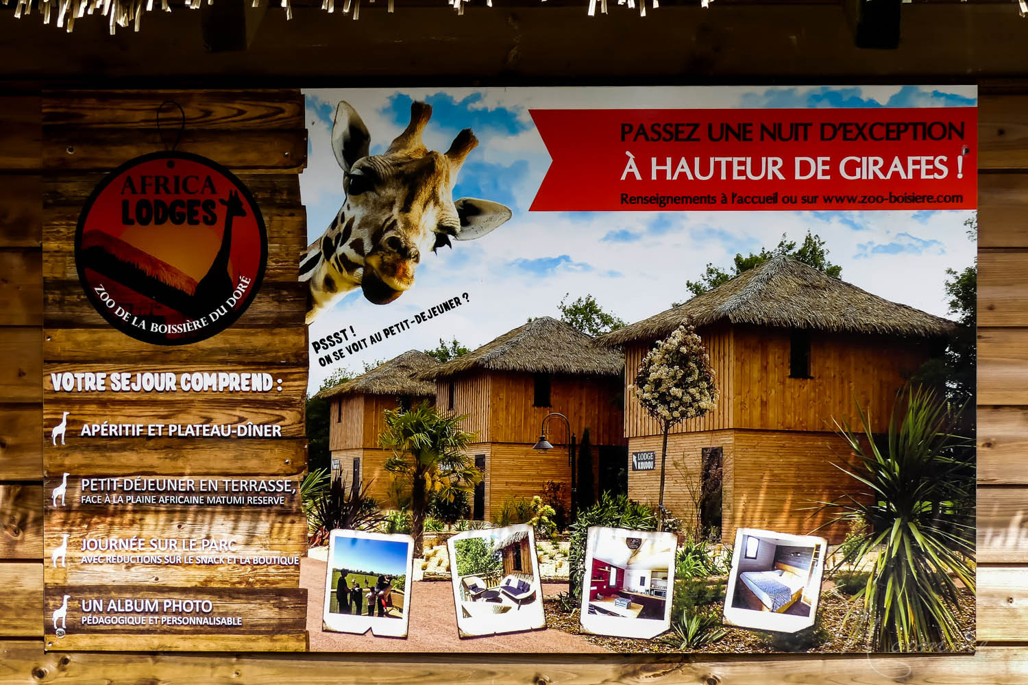 nuit insolite zoo nantes loire atlantique