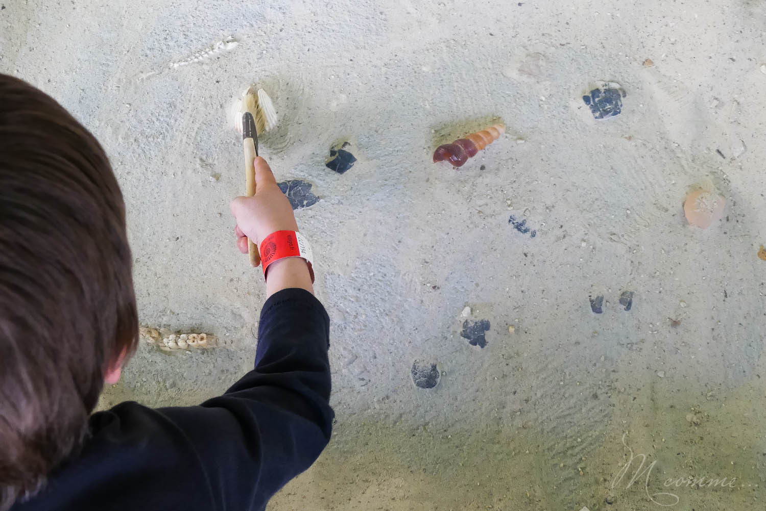 Les Grottes du Cerdon proposent, après la visite d’un monde souterrain insolite, de découvrir comment vivaient les hommes préhistoriques à travers de nombreuses activités pour les enfants. Une belle sortie en famille, dans l’Ain, nichée dans les montagnes du Jura. #grottesducerdon #prehistoire #hommesprehistoriques #activitesprehistoriques #animationsenfants #ain #jura #lyon #peinturesprehistoriques #poterie #feu #fairedufeu #apprendreafairedufeu #fouillesarcheologiques #sortieenfamille grottes du cerdon parc de loisirs préhistoriques