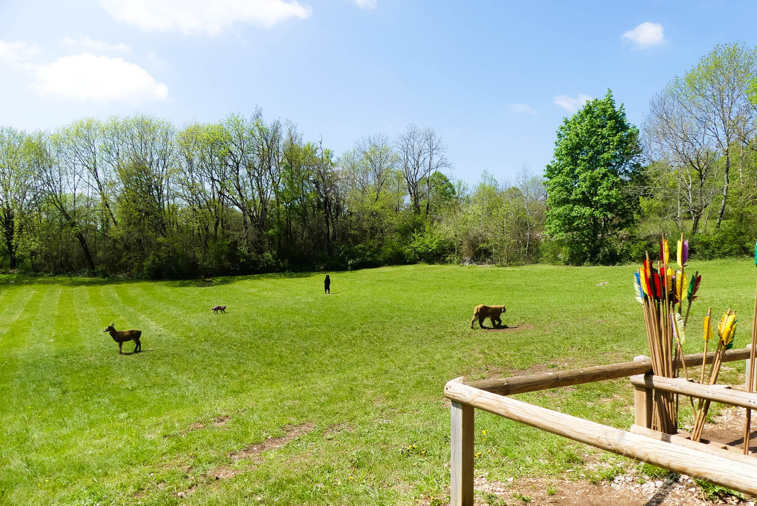 Les Grottes du Cerdon proposent, après la visite d’un monde souterrain insolite, de découvrir comment vivaient les hommes préhistoriques à travers de nombreuses activités pour les enfants. Une belle sortie en famille, dans l’Ain, nichée dans les montagnes du Jura. #grottesducerdon #prehistoire #hommesprehistoriques #activitesprehistoriques #animationsenfants #ain #jura #lyon #peinturesprehistoriques #poterie #feu #fairedufeu #apprendreafairedufeu #fouillesarcheologiques #sortieenfamille grottes du cerdon parc de loisirs préhistoriques
