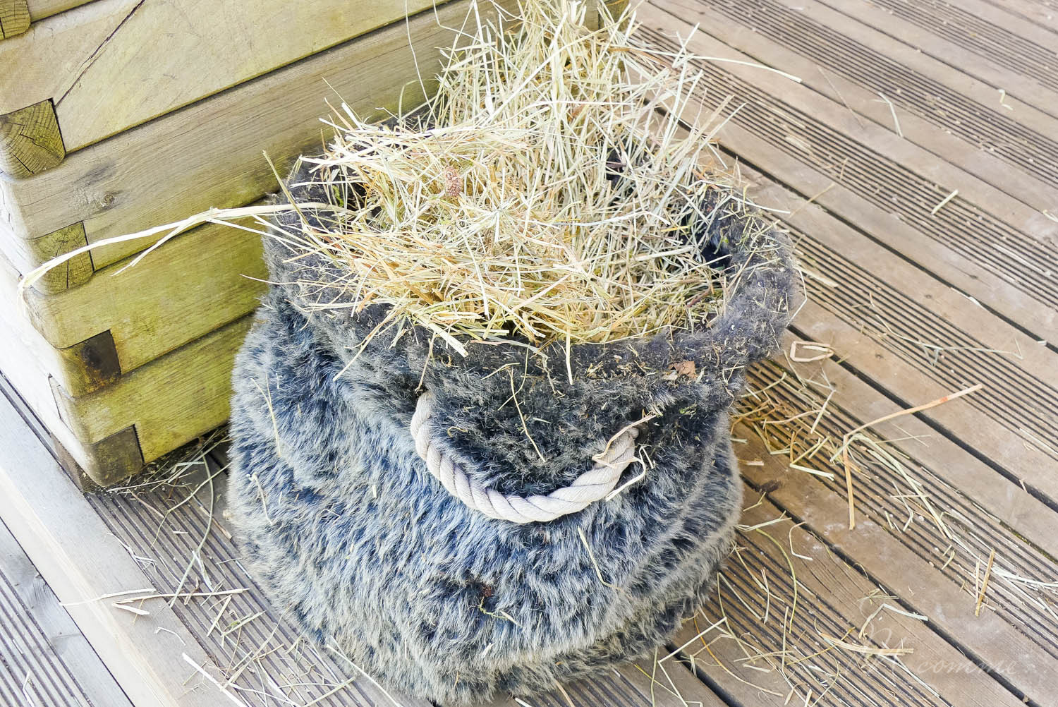 Les Grottes du Cerdon proposent, après la visite d’un monde souterrain insolite, de découvrir comment vivaient les hommes préhistoriques à travers de nombreuses activités pour les enfants. Une belle sortie en famille, dans l’Ain, nichée dans les montagnes du Jura. #grottesducerdon #prehistoire #hommesprehistoriques #activitesprehistoriques #animationsenfants #ain #jura #lyon #peinturesprehistoriques #poterie #feu #fairedufeu #apprendreafairedufeu #fouillesarcheologiques #sortieenfamille grottes du cerdon parc de loisirs préhistoriques