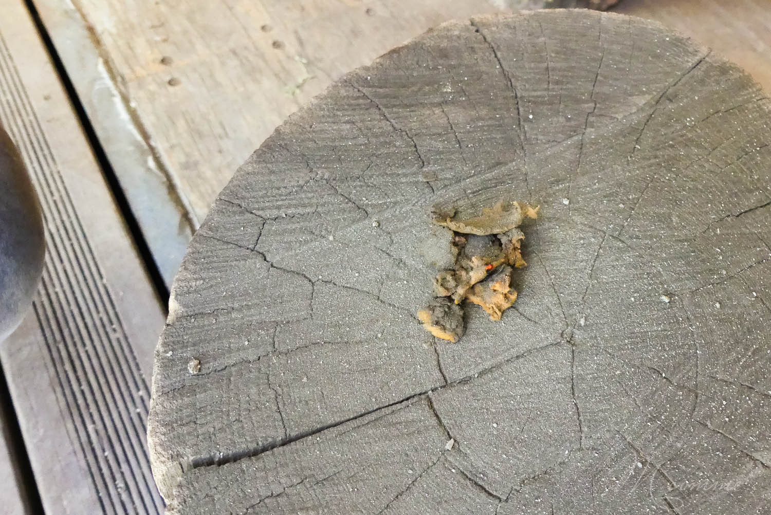 Les Grottes du Cerdon proposent, après la visite d’un monde souterrain insolite, de découvrir comment vivaient les hommes préhistoriques à travers de nombreuses activités pour les enfants. Une belle sortie en famille, dans l’Ain, nichée dans les montagnes du Jura. #grottesducerdon #prehistoire #hommesprehistoriques #activitesprehistoriques #animationsenfants #ain #jura #lyon #peinturesprehistoriques #poterie #feu #fairedufeu #apprendreafairedufeu #fouillesarcheologiques #sortieenfamille grottes du cerdon parc de loisirs préhistoriques