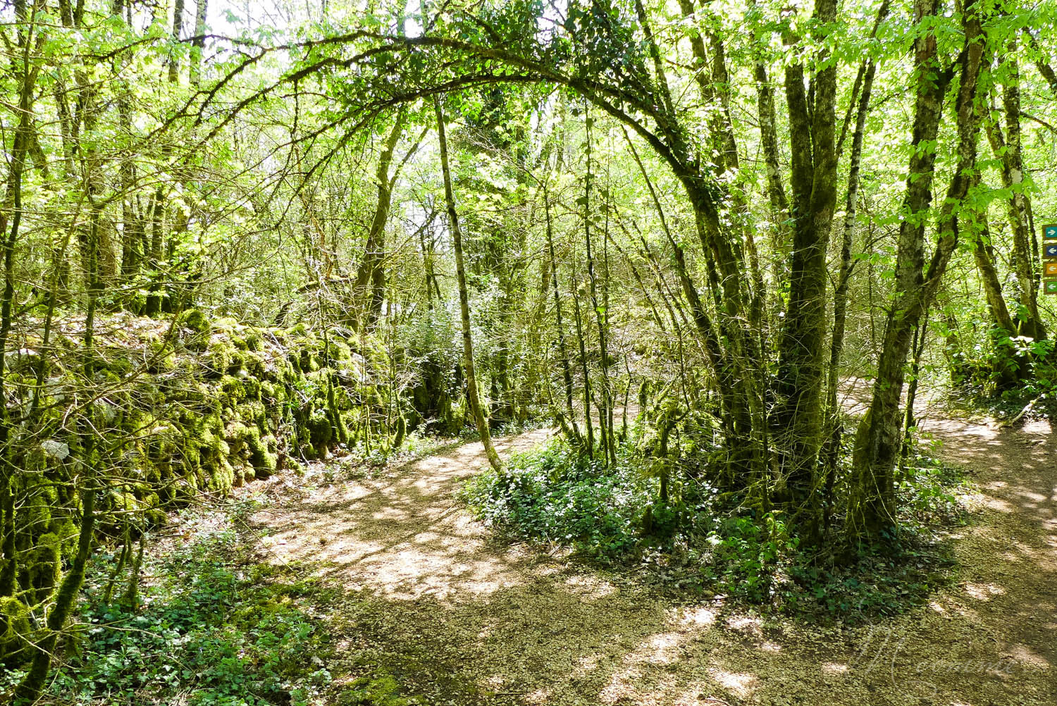 Les Grottes du Cerdon proposent, après la visite d’un monde souterrain insolite, de découvrir comment vivaient les hommes préhistoriques à travers de nombreuses activités pour les enfants. Une belle sortie en famille, dans l’Ain, nichée dans les montagnes du Jura. #grottesducerdon #prehistoire #hommesprehistoriques #activitesprehistoriques #animationsenfants #ain #jura #lyon #peinturesprehistoriques #poterie #feu #fairedufeu #apprendreafairedufeu #fouillesarcheologiques #sortieenfamille grottes du cerdon parc de loisirs préhistoriques