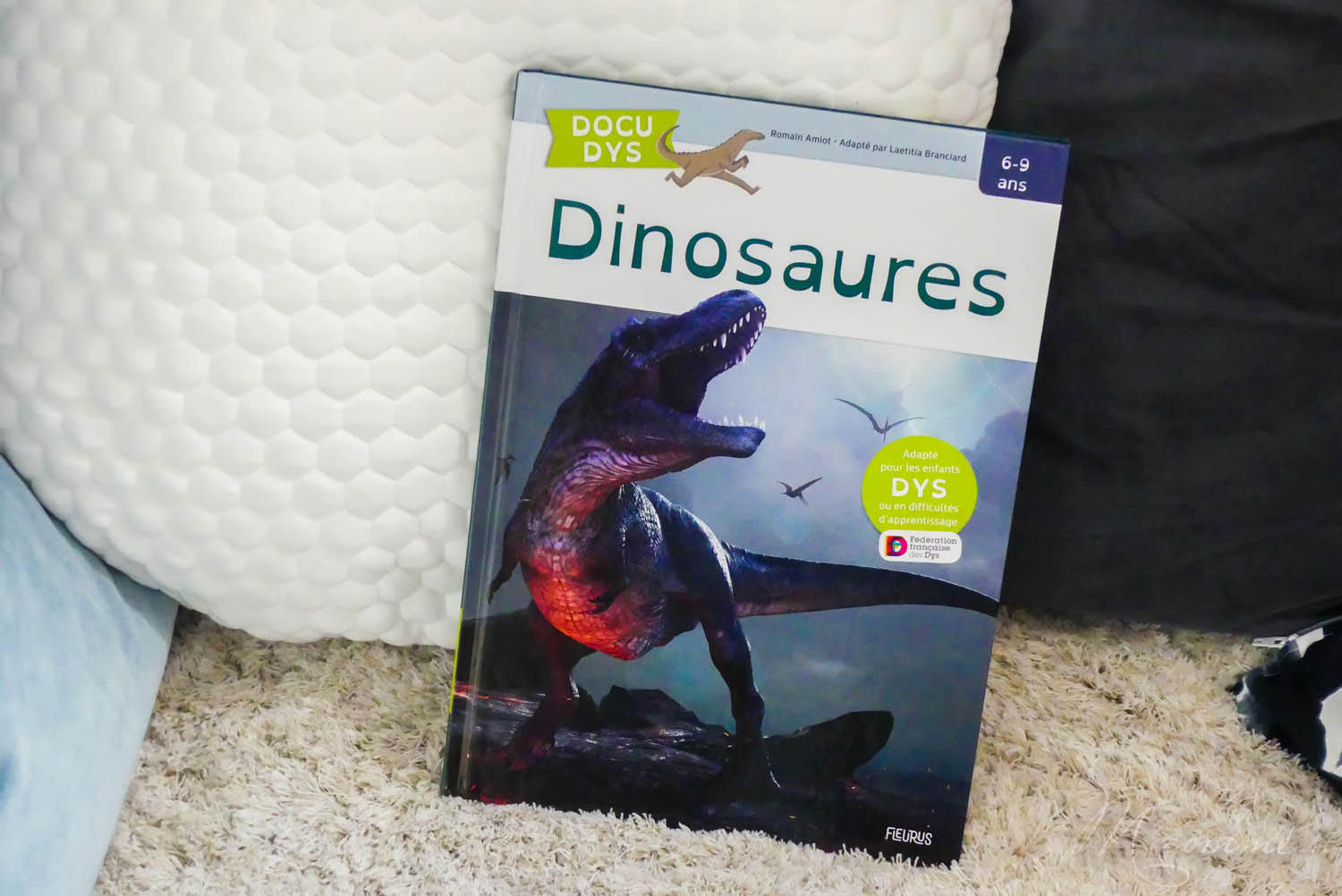 Grâce à la collection Docu Dys, Fleurus permet aux enfants souffrant de troubles Dys, et en difficulté d’apprentissage d’avoir accès à des contenus documentaires, comme n’importe quel enfant, en tenant compte de ses difficultés. #dys #enfantdys #lecture #dyslexie #dysorthographie #dysphasie #dyspraxie #livreenfantdys #livredys #documentaire #troublesapprentissage