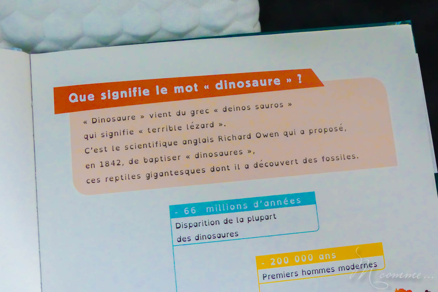 livre documentaire enfant Dys