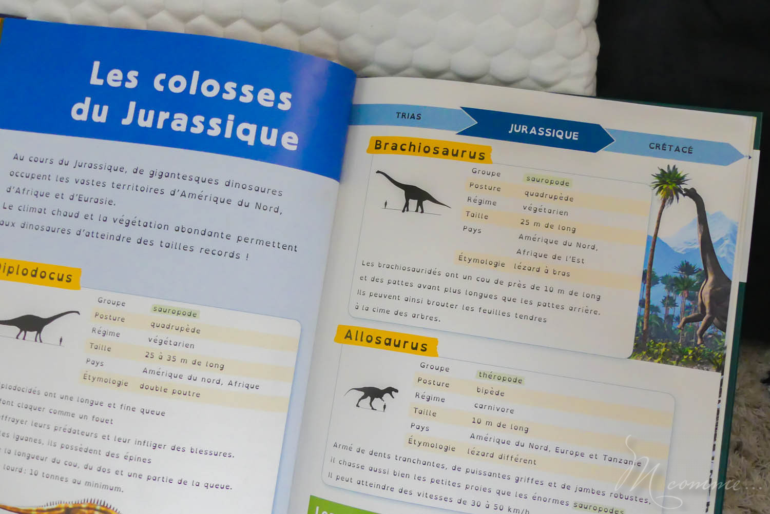 livre documentaire enfant Dys