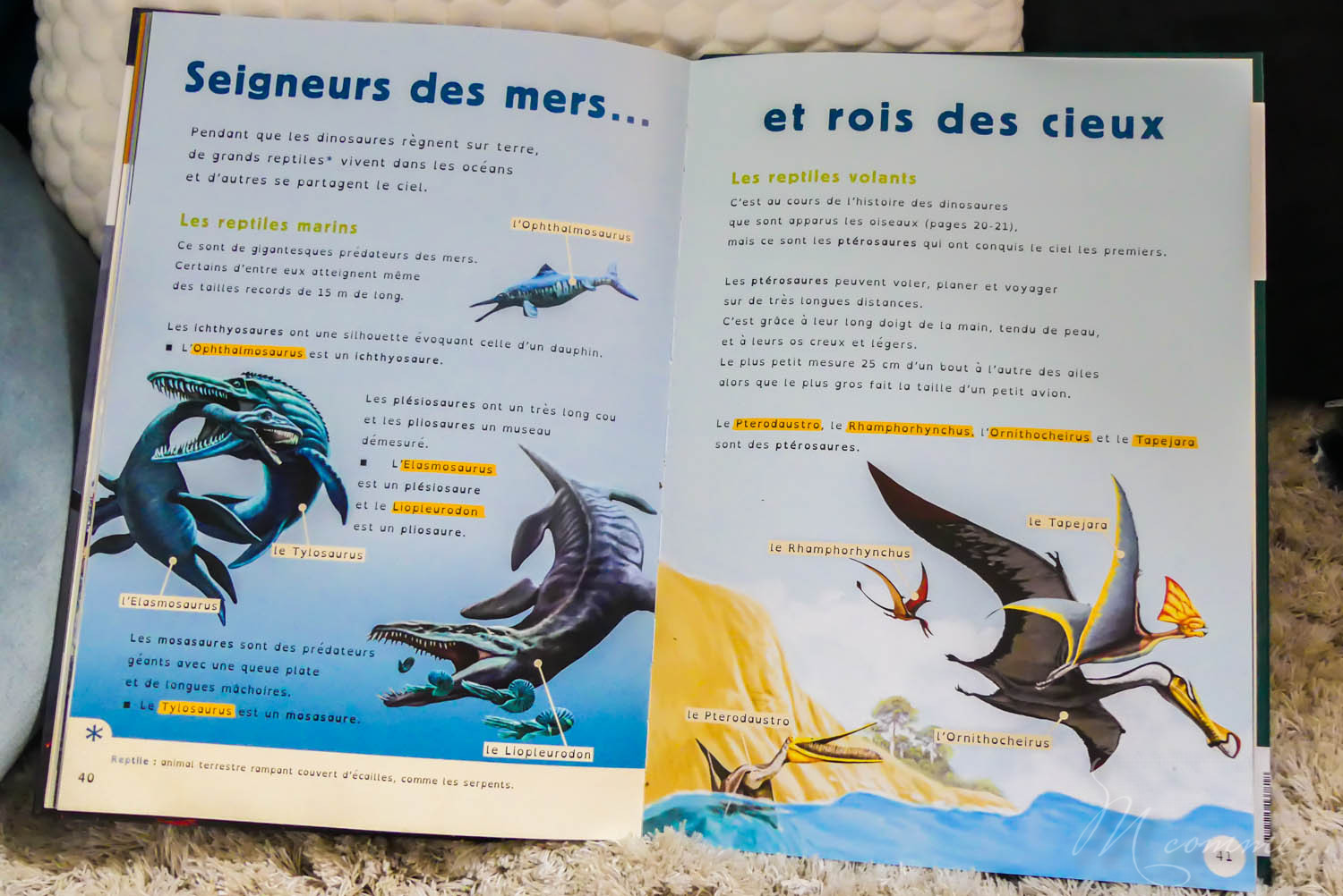 livre documentaire enfant Dys