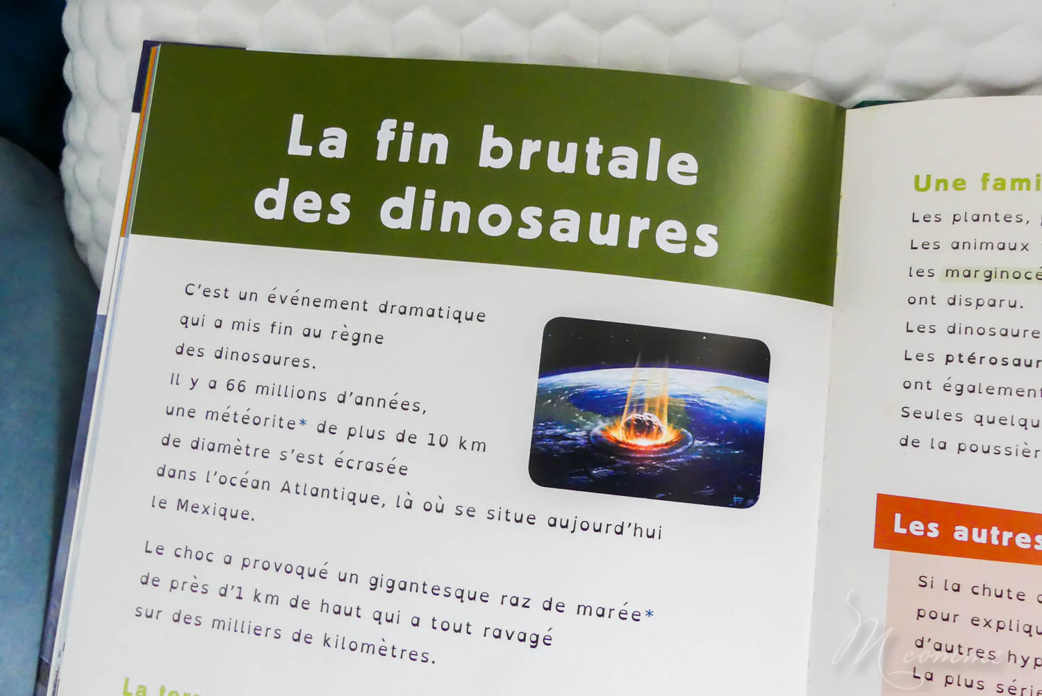 livre documentaire enfant Dys
