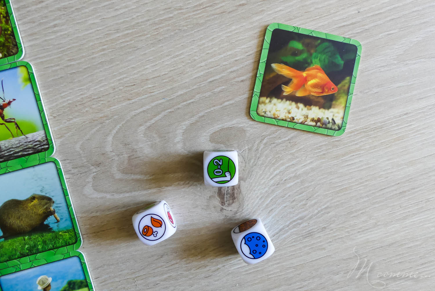 jeu specific gigamic