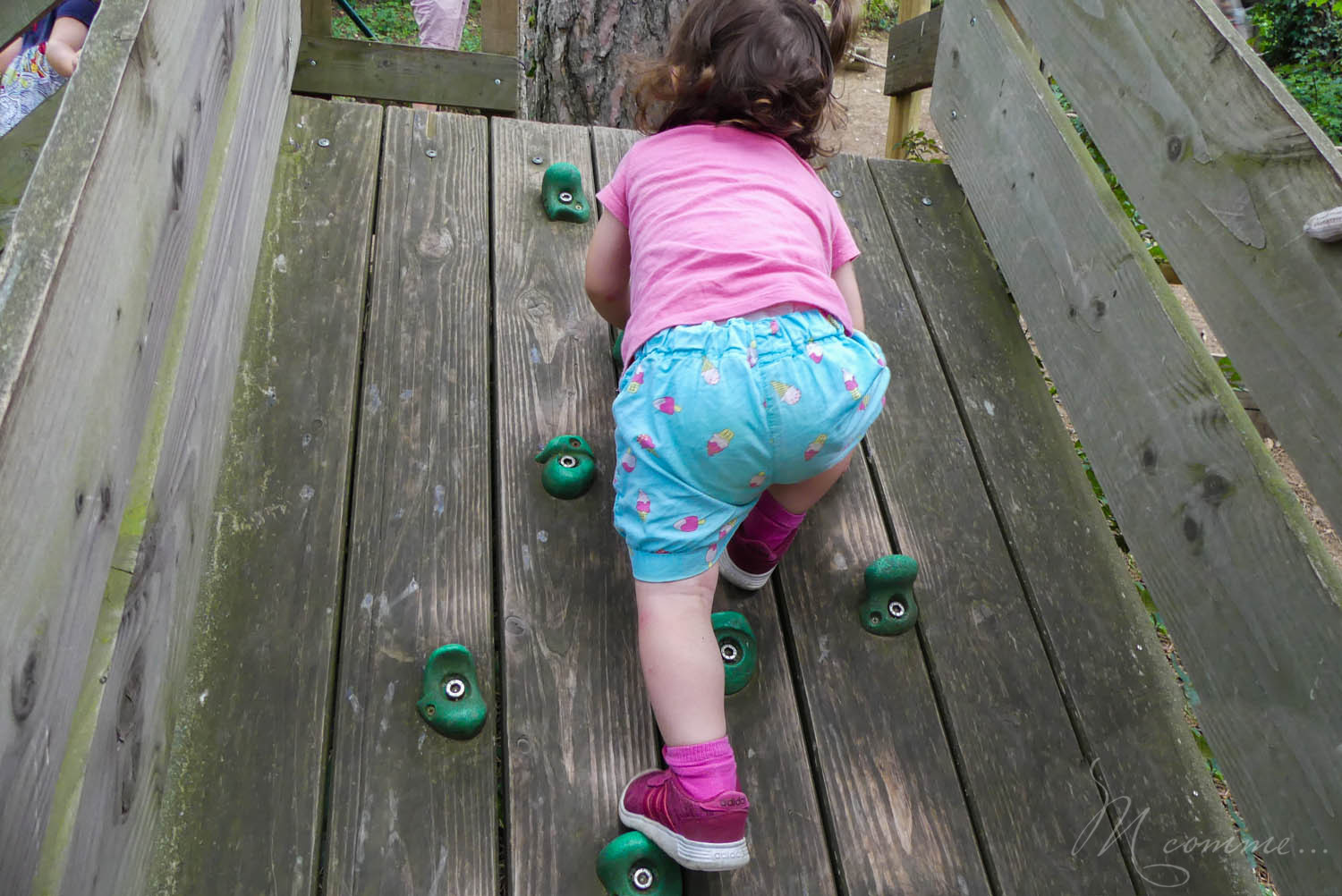 accrobranche lyon fourvière loisirs enfants