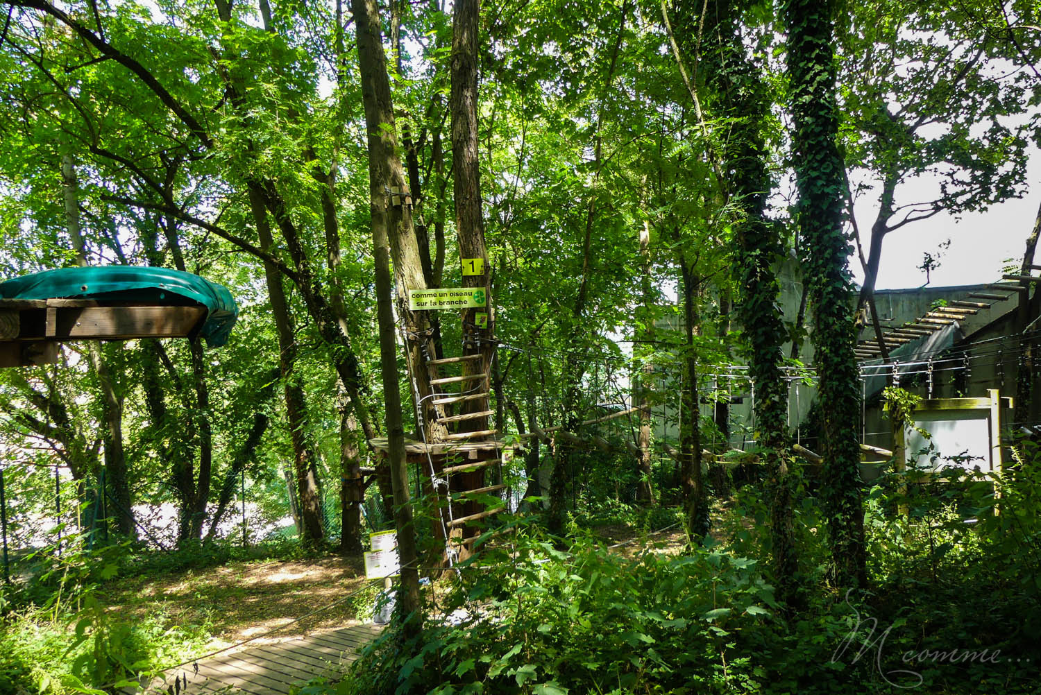 accrobranche Lyon Fourviere loisirs enfants