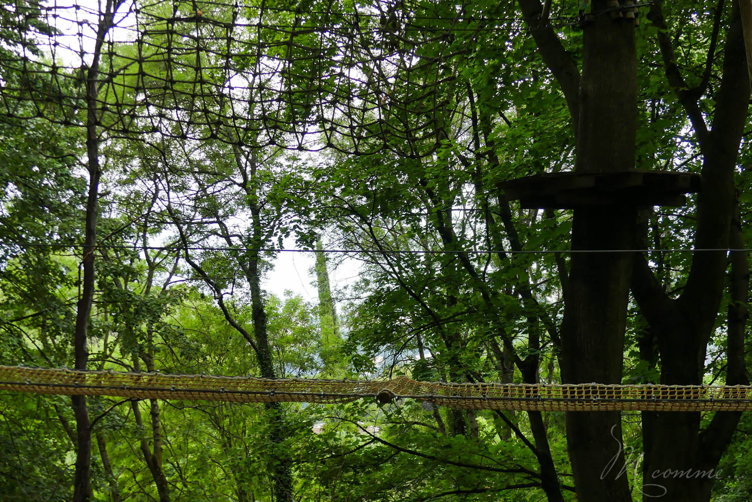 S’il y a bien une chose que l’on ne s’attend pas à voir à Fourvière, c’est bien une forêt cachant un parc de loisirs avec de nombreux parcours d’accrobranche. Et pourtant ! Cet écrin de verdure offre un bel amusement pour les vacances ou les mercredis, avec au loin, Lyon centre à admirer. #accrobranche #lyon #fourviere #presquile #parcdeloisirs #pleinair #bellecour #famille #enfants #sortie #sortiralyon #franceaventures #franceaventureslyon #nature #ville #loisirs #anniversaire