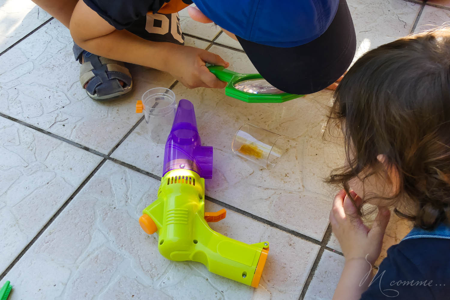 observer les insectes avec une loupe