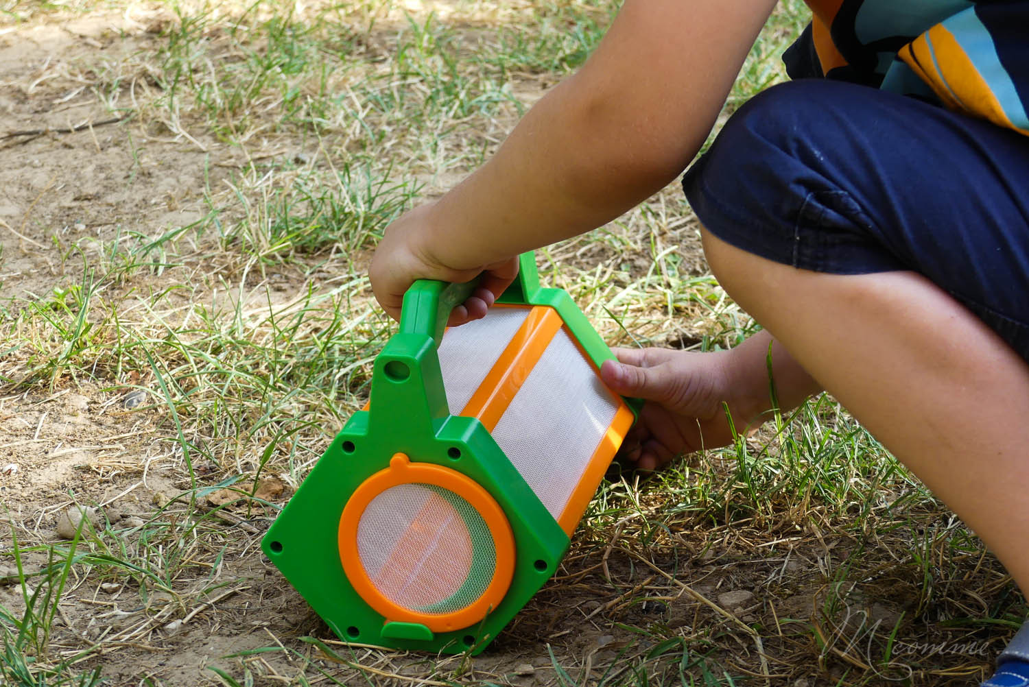 observatoire à insectes buki