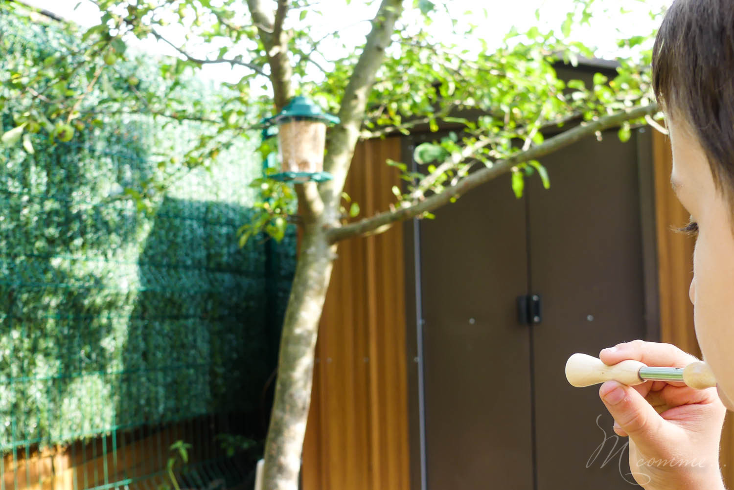 appeau pour imiter le cri des oiseaux