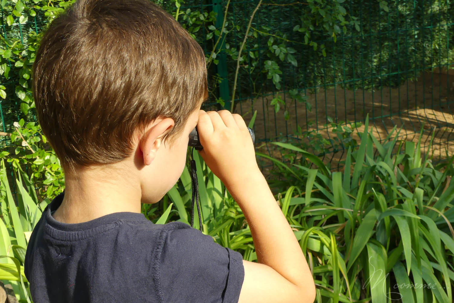 monoculaire pour observer les oiseaux