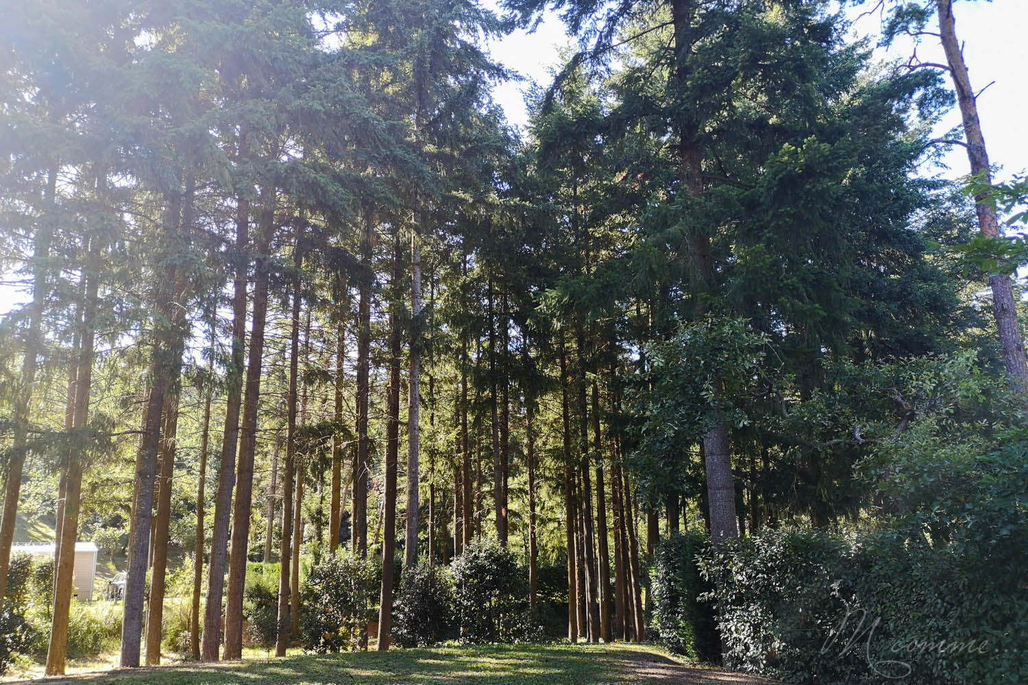 Camping Domaine La Garenne dans la Drôme