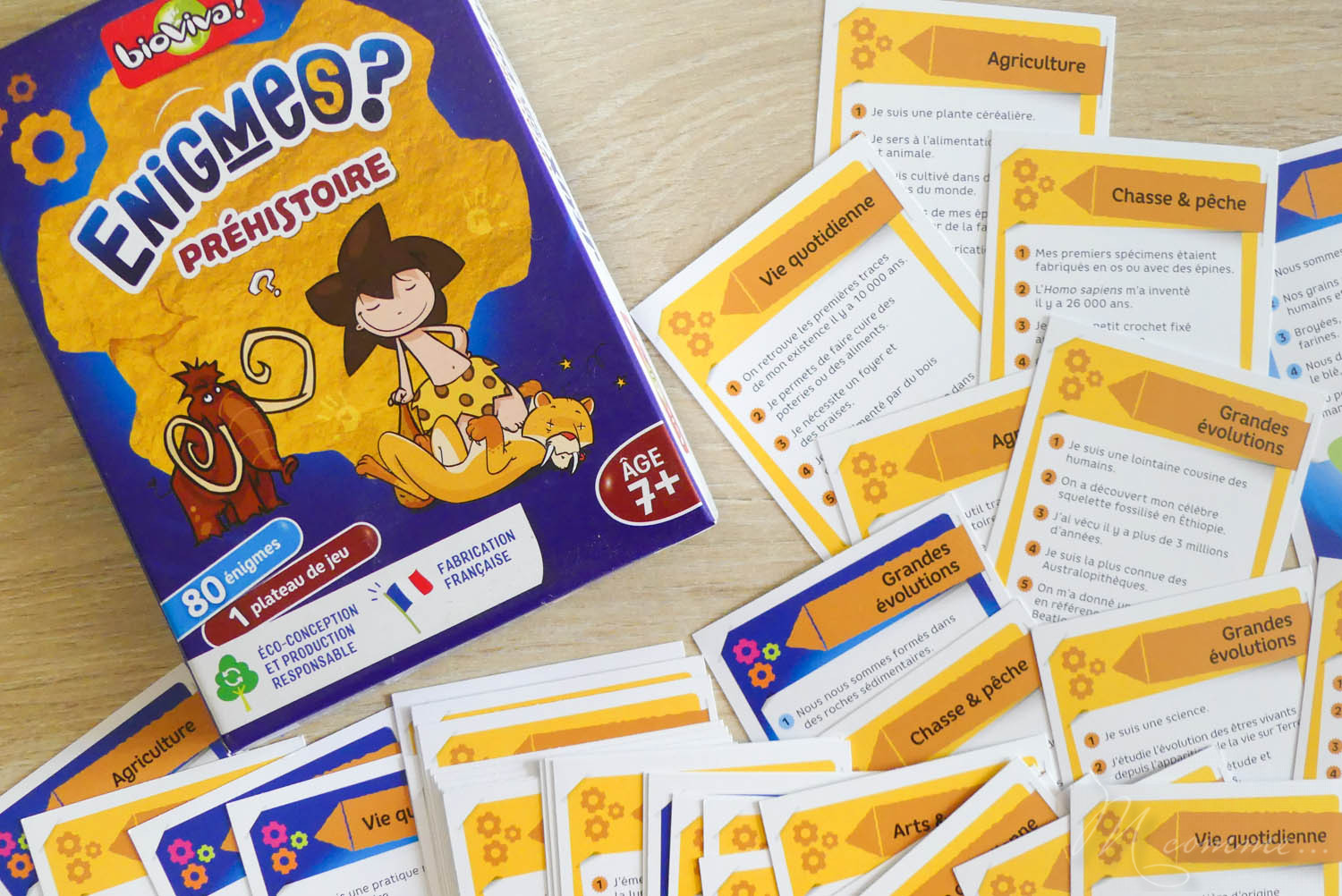 Nous avons découvert Enigmes? Le grand jeu de Bioviva et les jeux de voyage Enigmes? Espace et Préhistoire. On vous donne notre avis ! #bioviva #jeu #jeuxdesociete #jeudeplateau #enfants #jeuxdevoyage #voyage #nomade #enfamille Jeu de société pour enfants Enigmes Préhistoire de Bioviva Avis