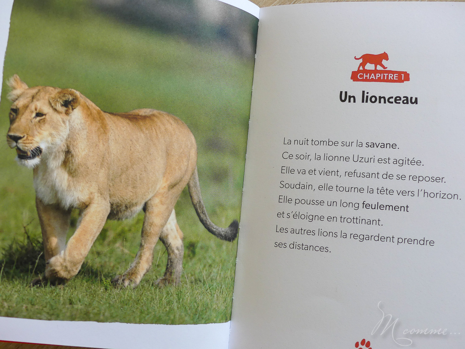 Pour aider l'enfant à apprendre à lire à son rythme, je vous propose de découvrir 10 idées de livres pour des premières lectures. #lecture #apprentissagelecture #premiereslectures #livres #CP #CE1 #apprendrealire Défis nature livre Fleurus